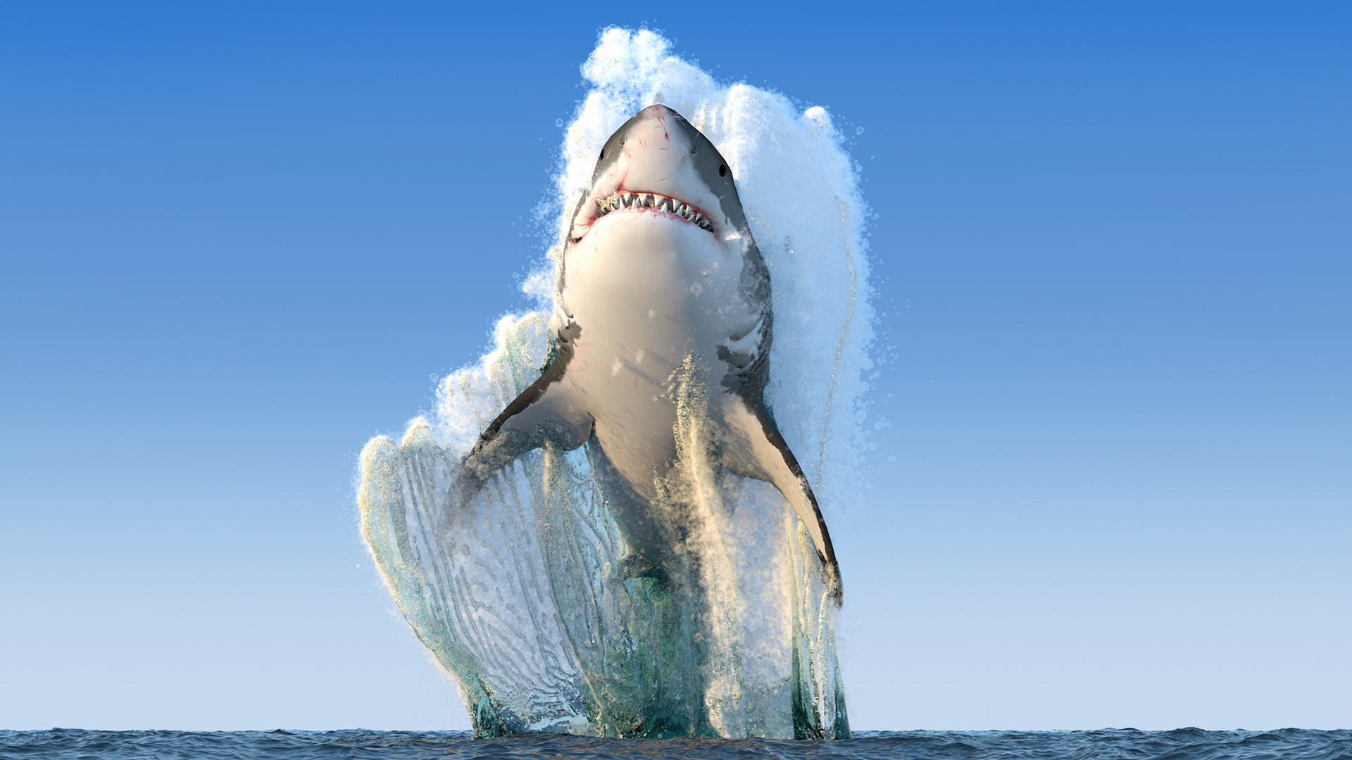 Great white shark jumping out of the sea HD Wallpaper