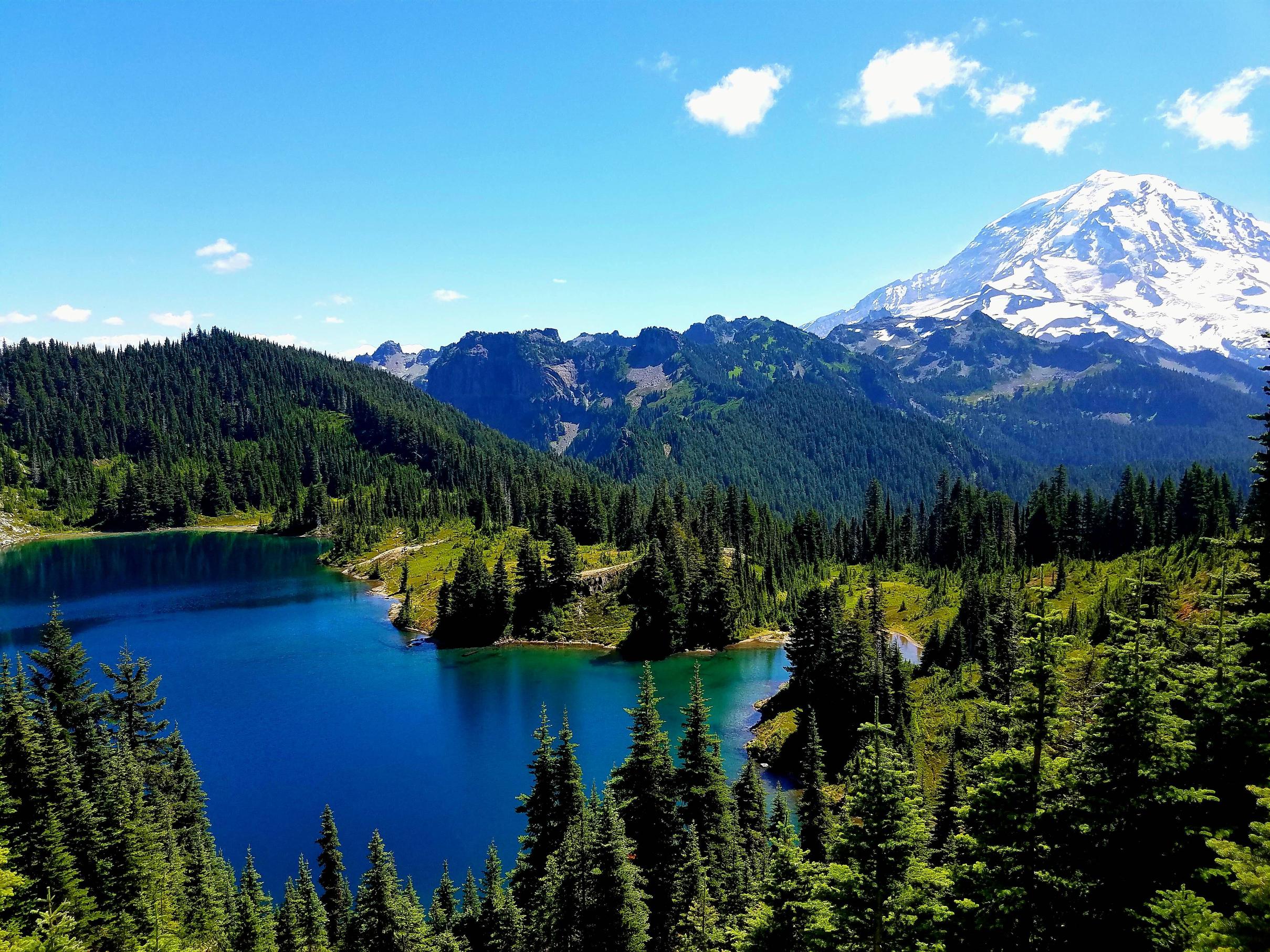Blue lake surrounded by evergreen trees with snow-capped mountains in the background HD Wallpaper