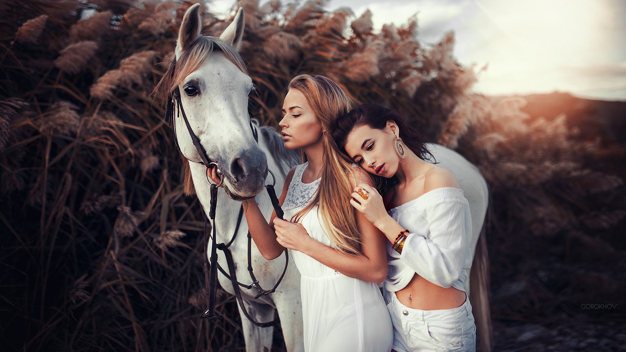 Two women with a white horse in a field HD Wallpaper
