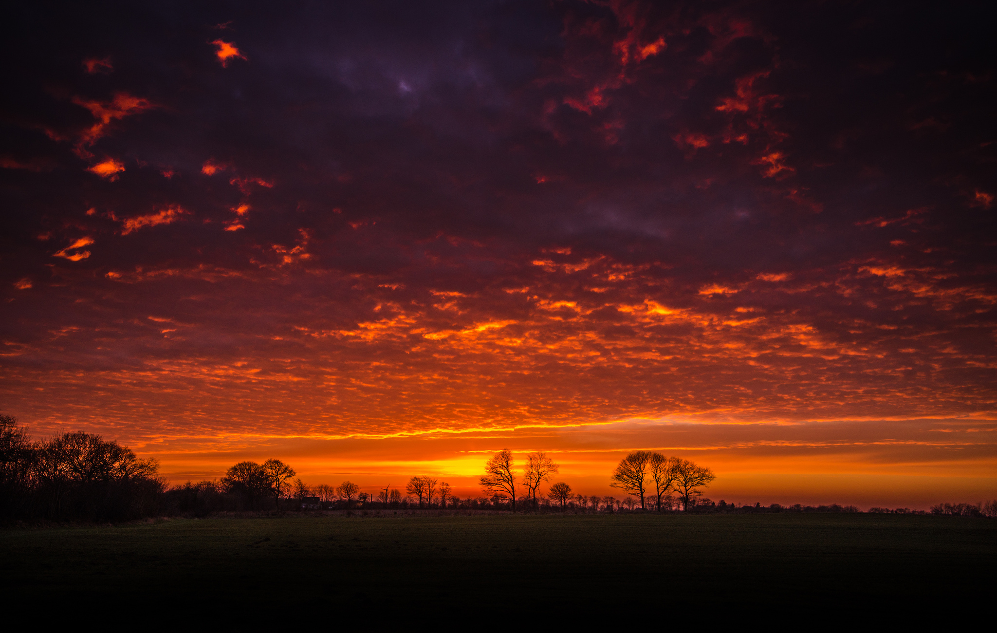 Dramatic sunset over a dark landscape with silhouetted trees HD Wallpaper