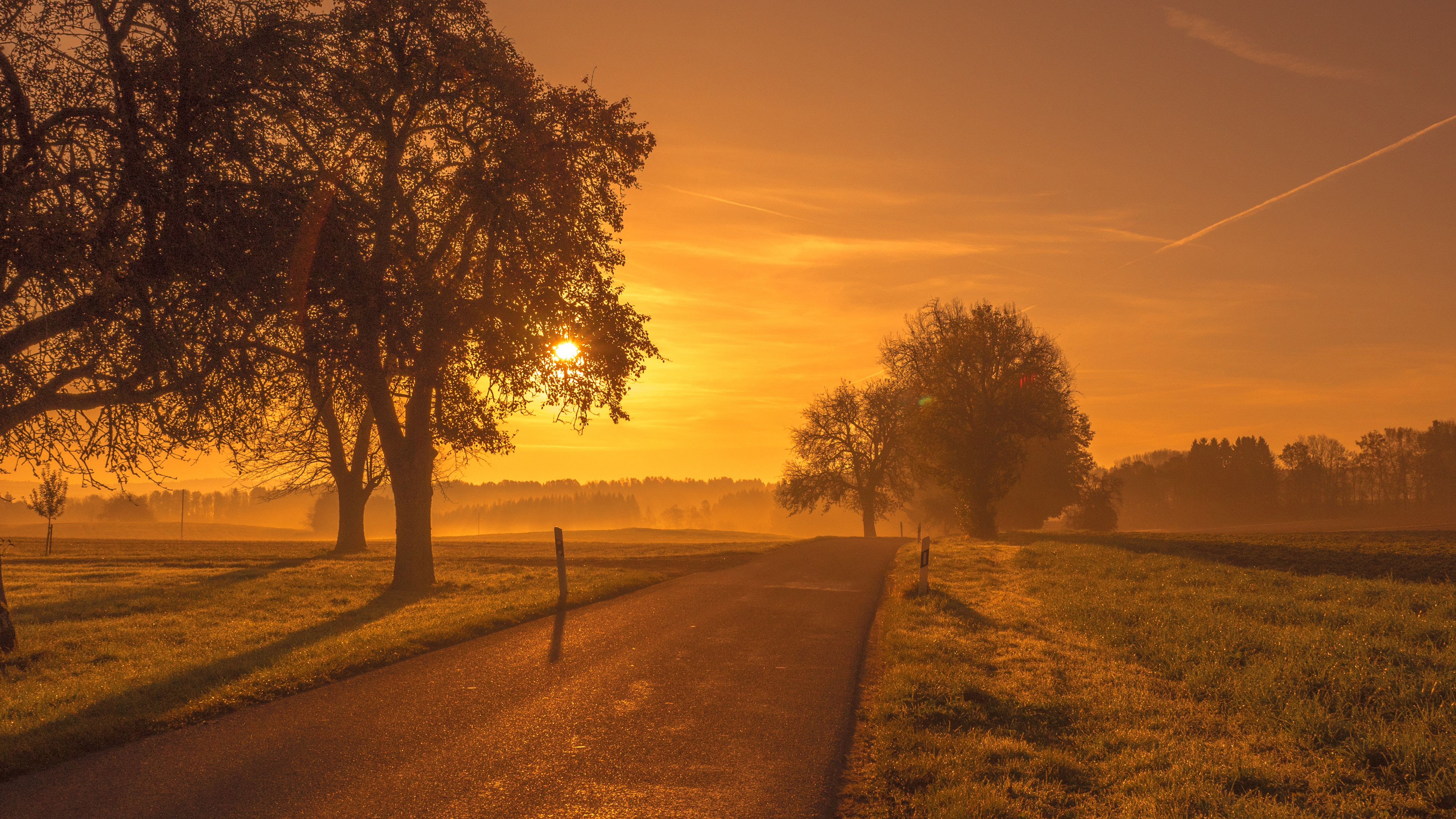 Road through a misty field at sunset HD Wallpaper