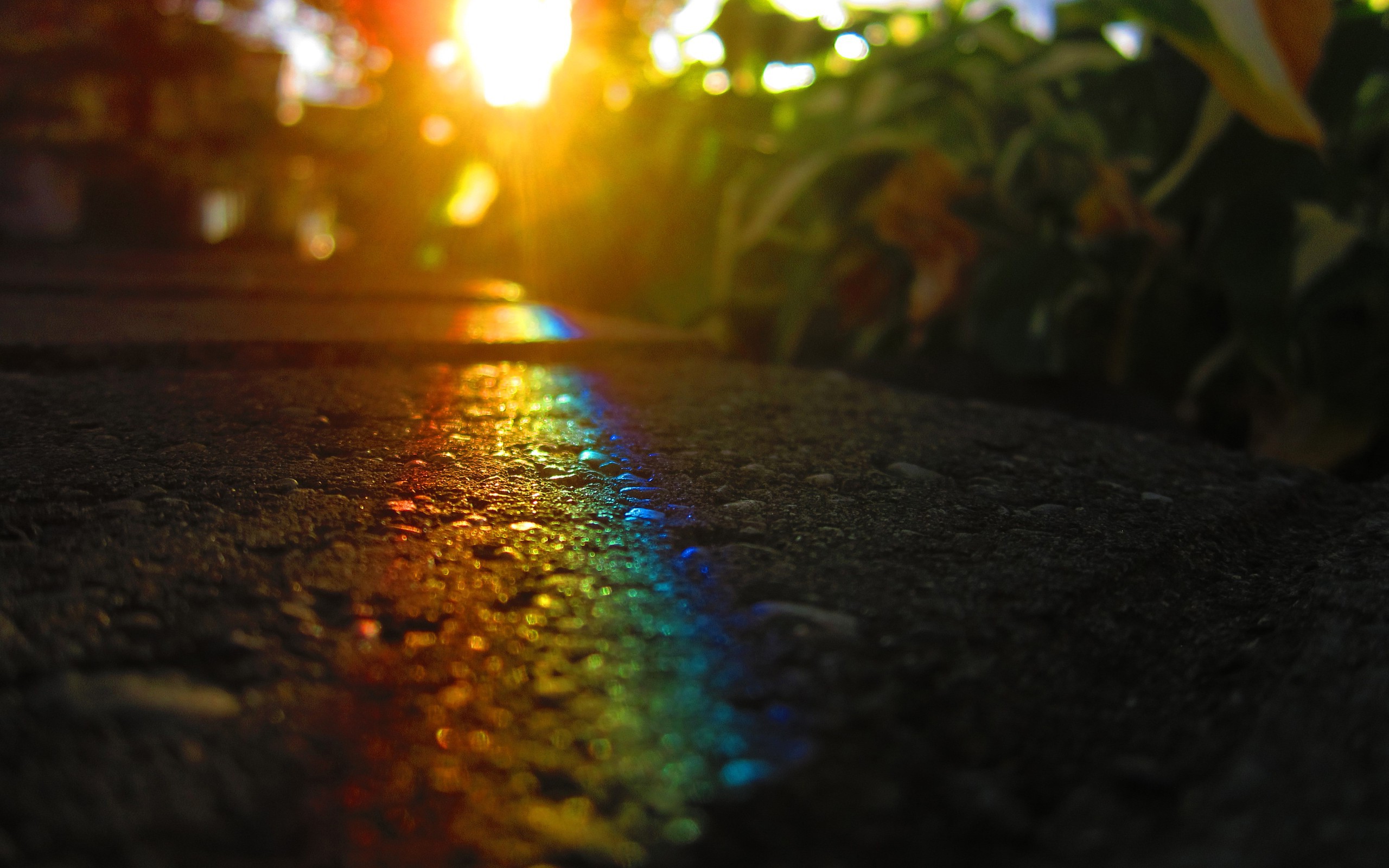 Rainbow reflection on wet asphalt at sunrise HD Wallpaper