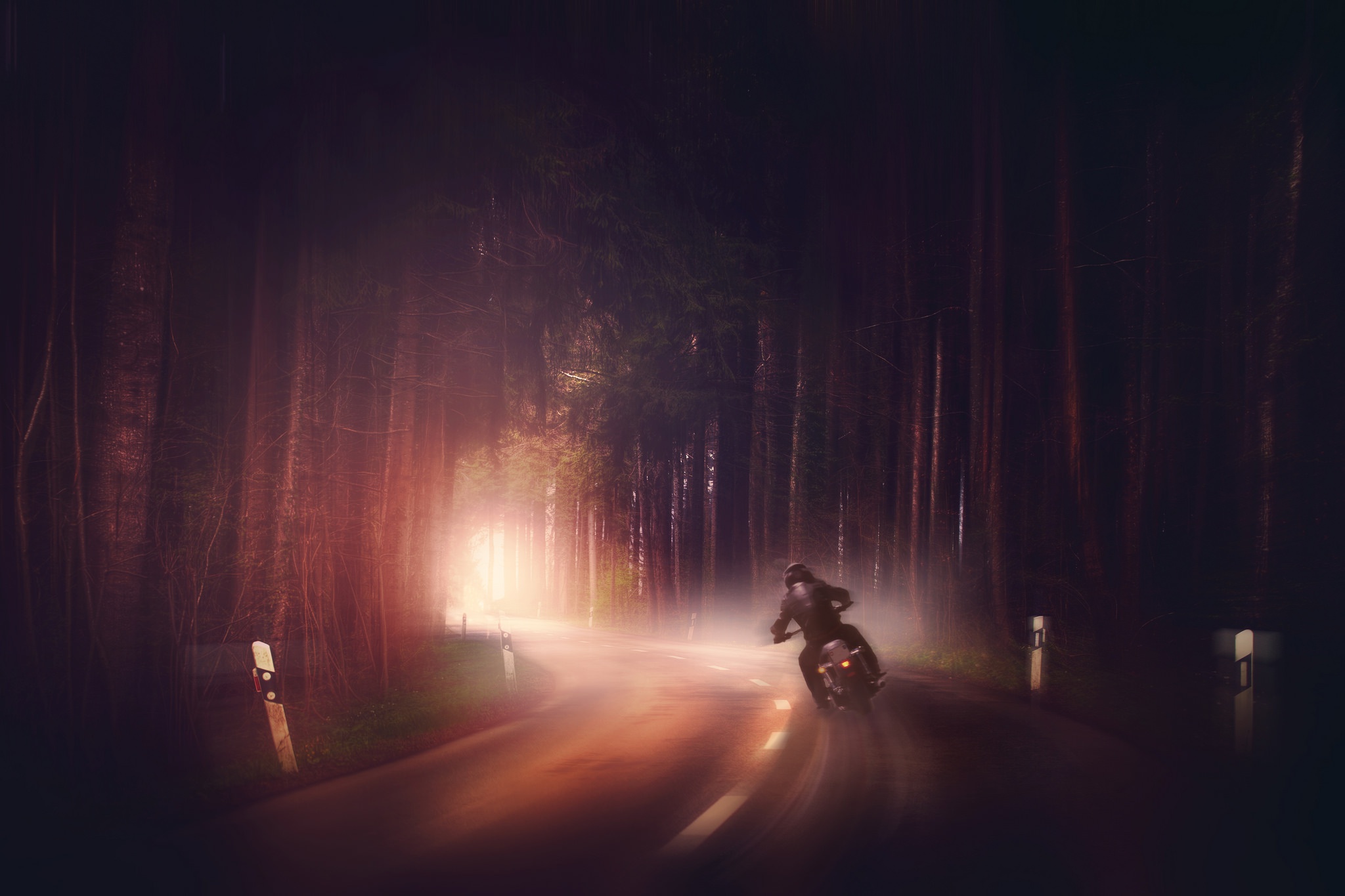 Motorcyclist on a foggy forest road at night HD Wallpaper