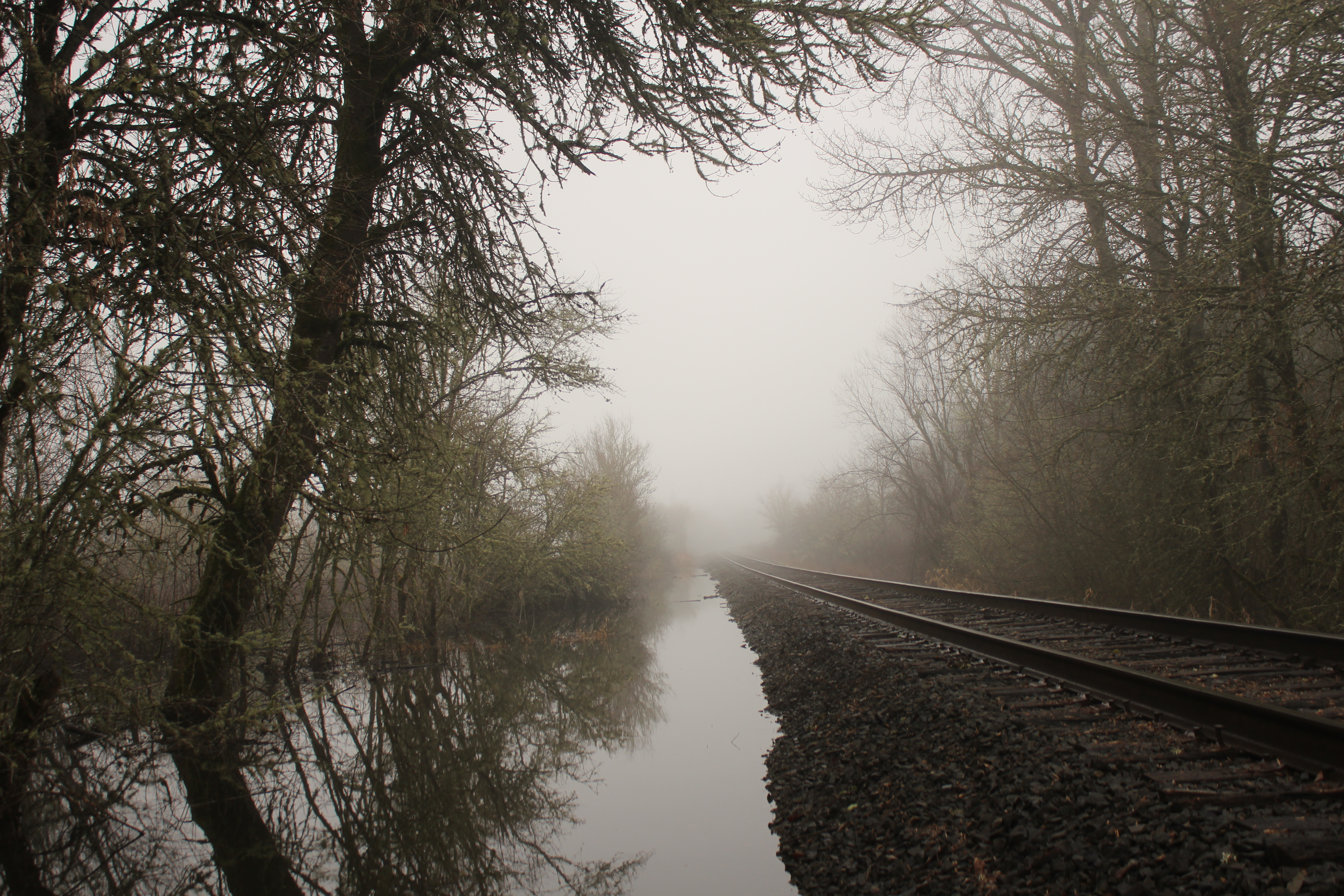Railroad tracks in mist with reflections HD Wallpaper