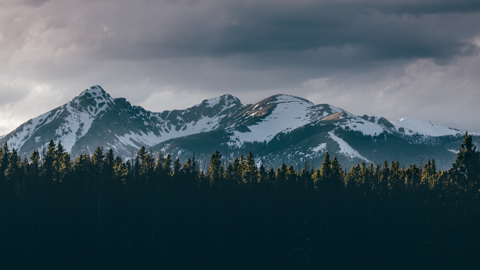 Snow-capped mountains behind a dark forest HD Wallpaper