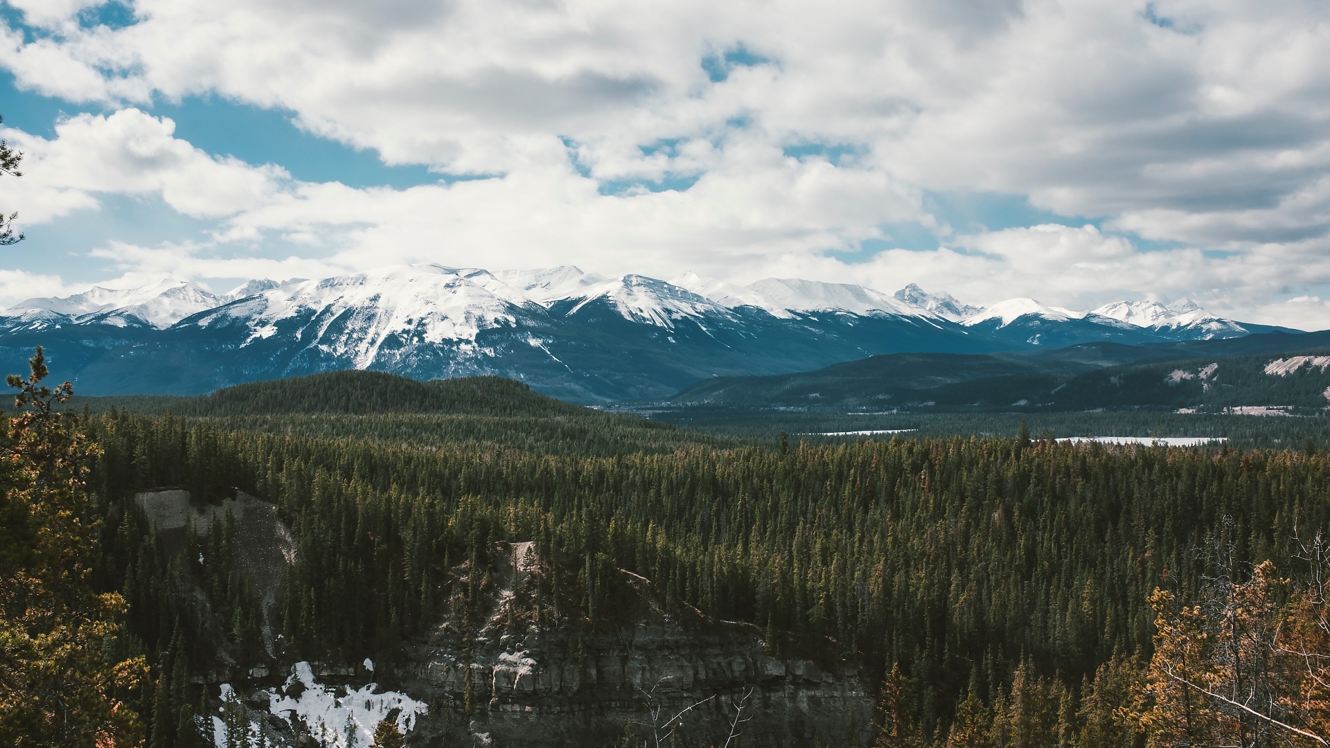 Snow-capped mountains over a dense evergreen forest HD Wallpaper