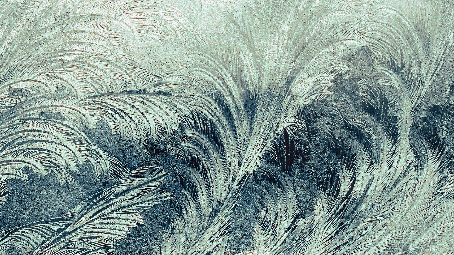Abstract frost patterns on glass HD Wallpaper