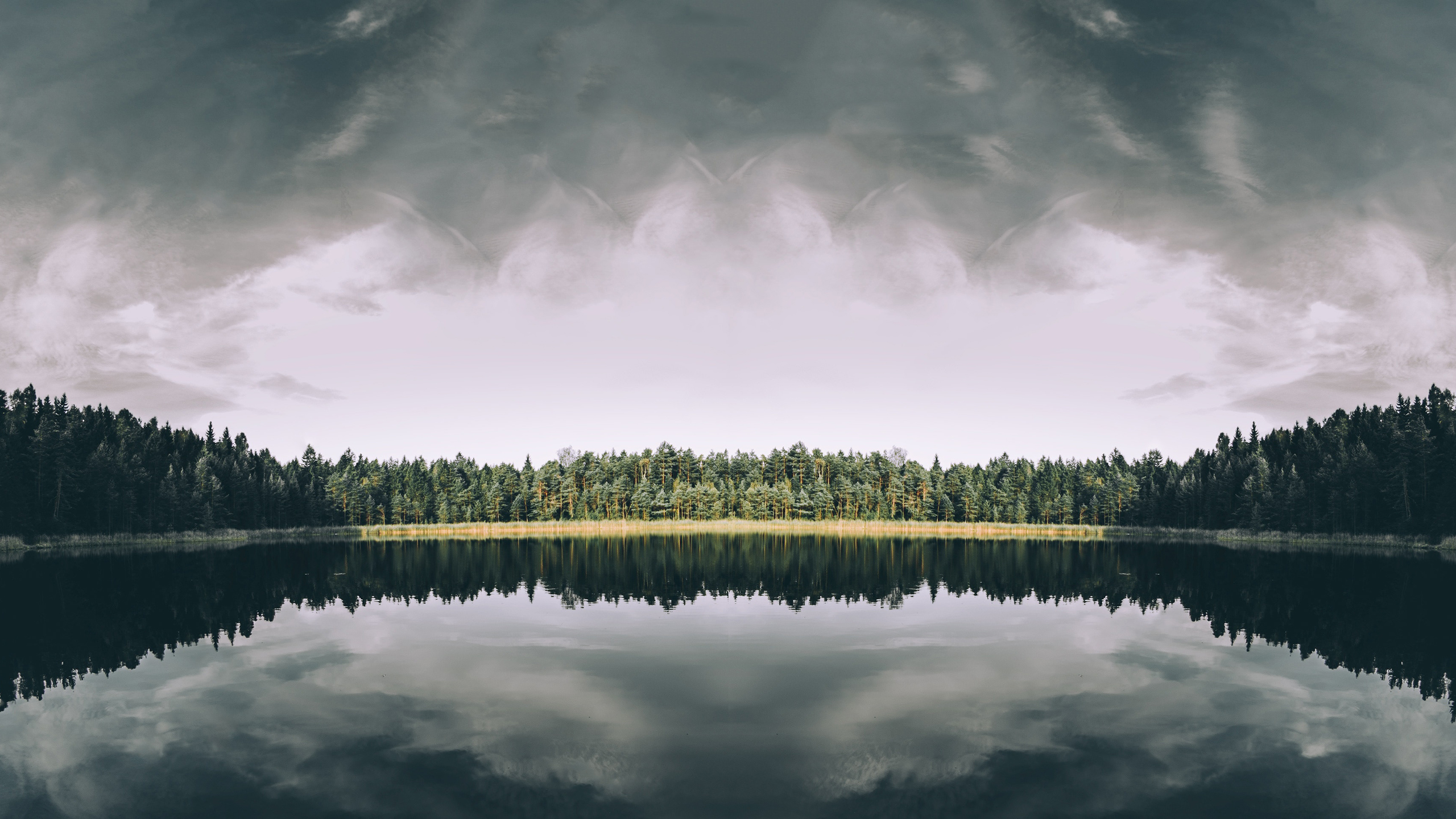 Symmetrical forest reflected in a calm lake under cloudy sky HD Wallpaper