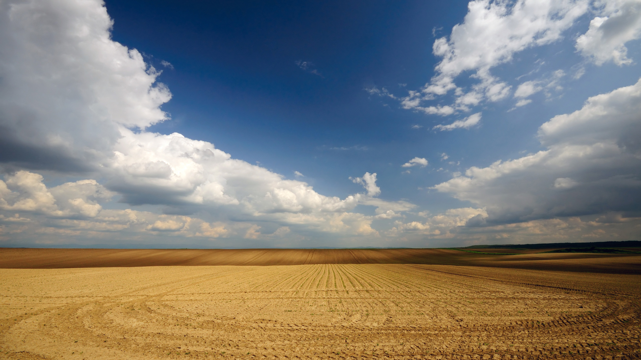 Vast agricultural fields under a cloudy blue sky HD Wallpaper
