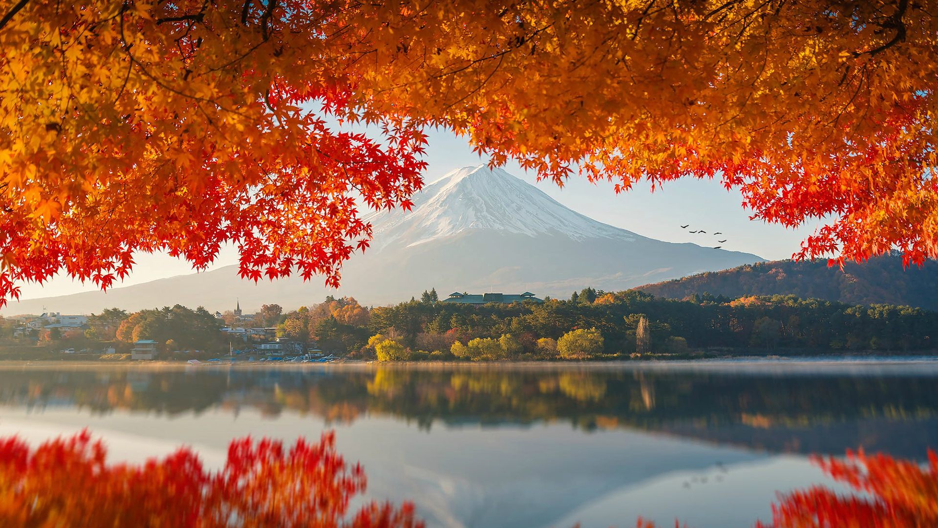 Mount Fuji reflected in a lake with autumn foliage HD Wallpaper