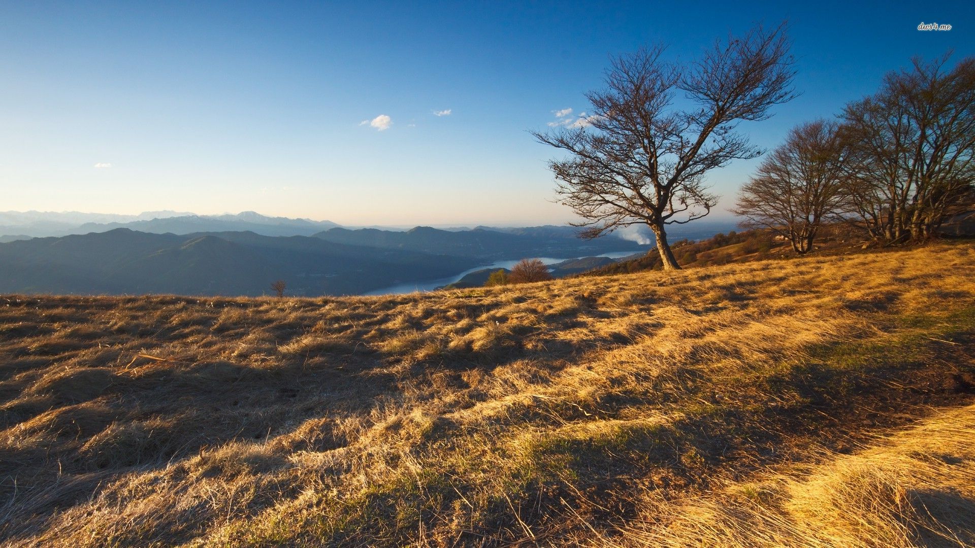 Dry grass field with trees and mountains HD Wallpaper