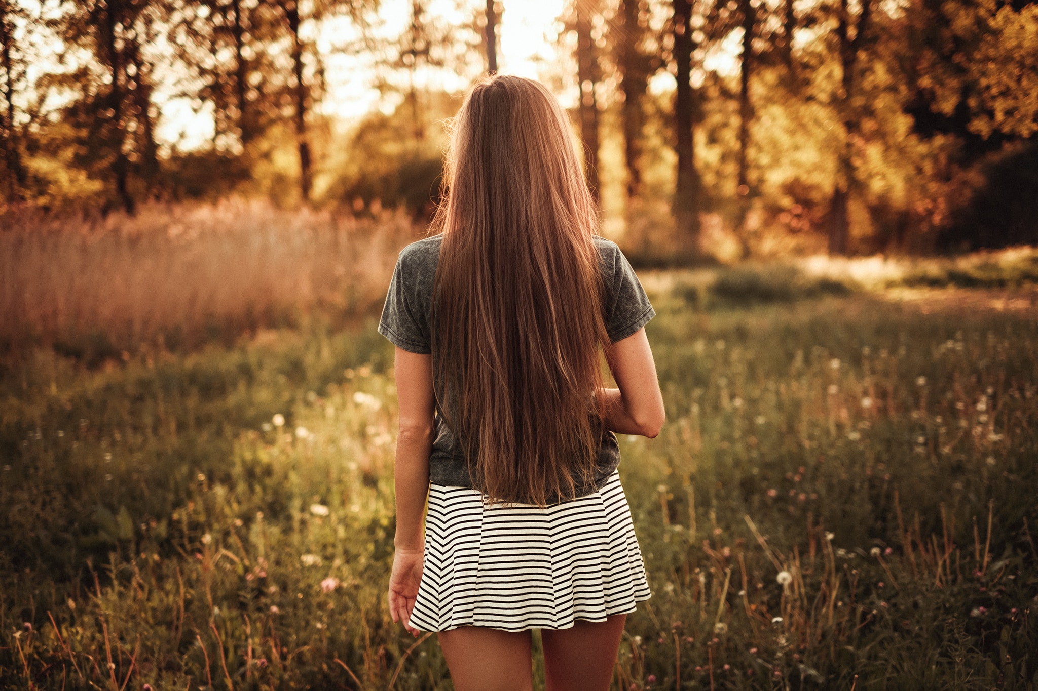 Woman with long hair in a field HD Wallpaper
