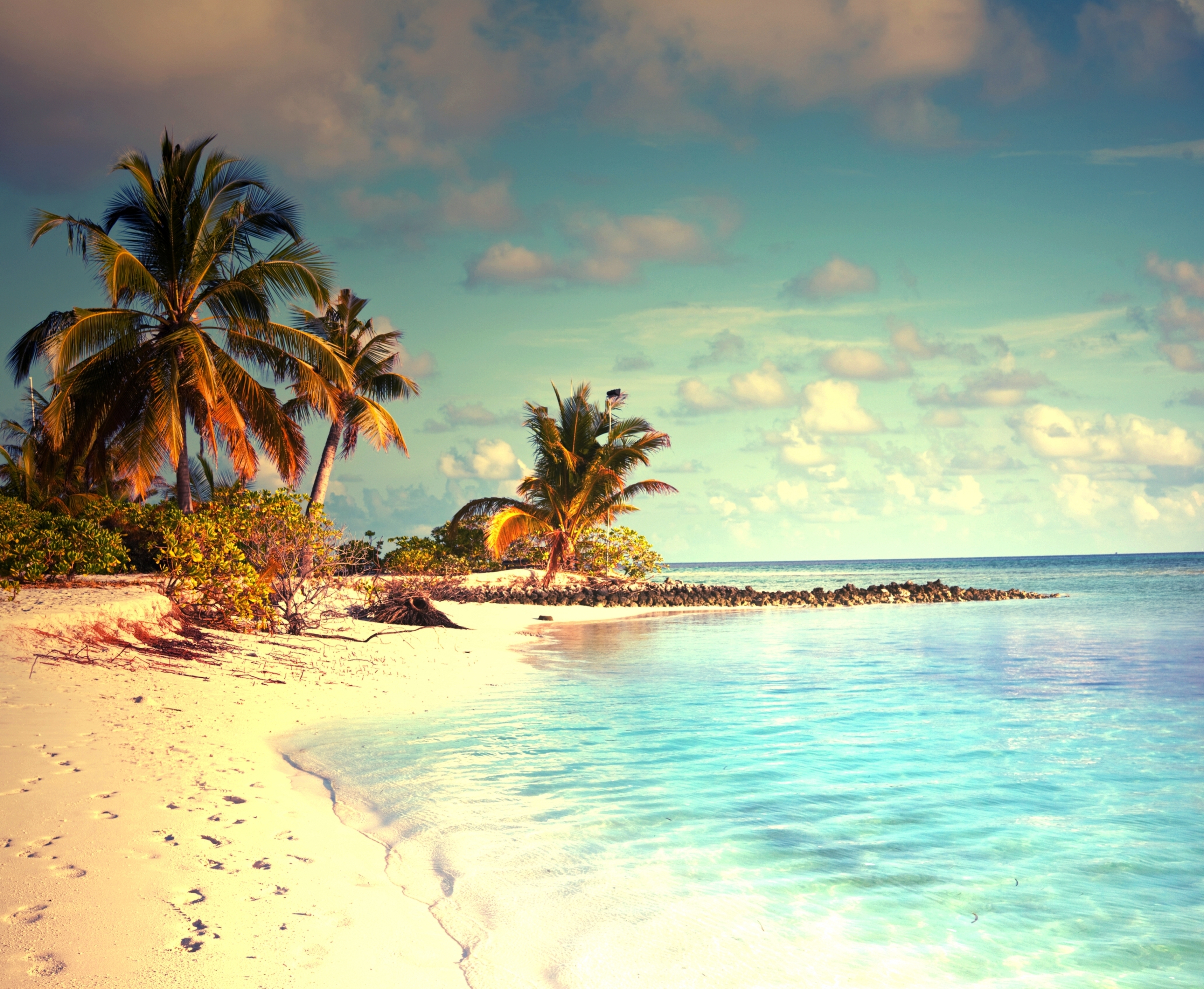 Tropical beach with palm trees and turquoise water HD Wallpaper