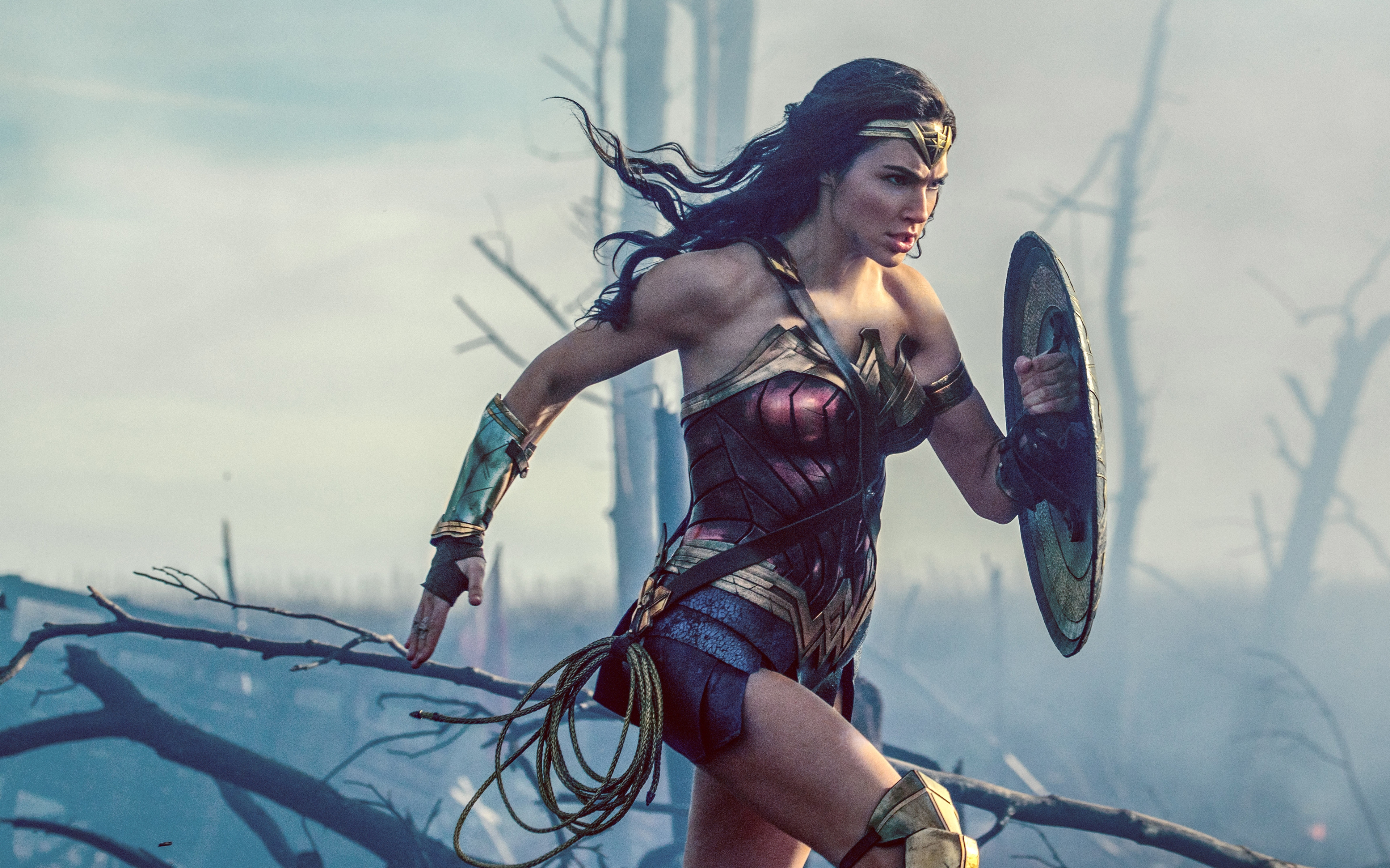Wonder Woman with Shield and Lasso HD Wallpaper