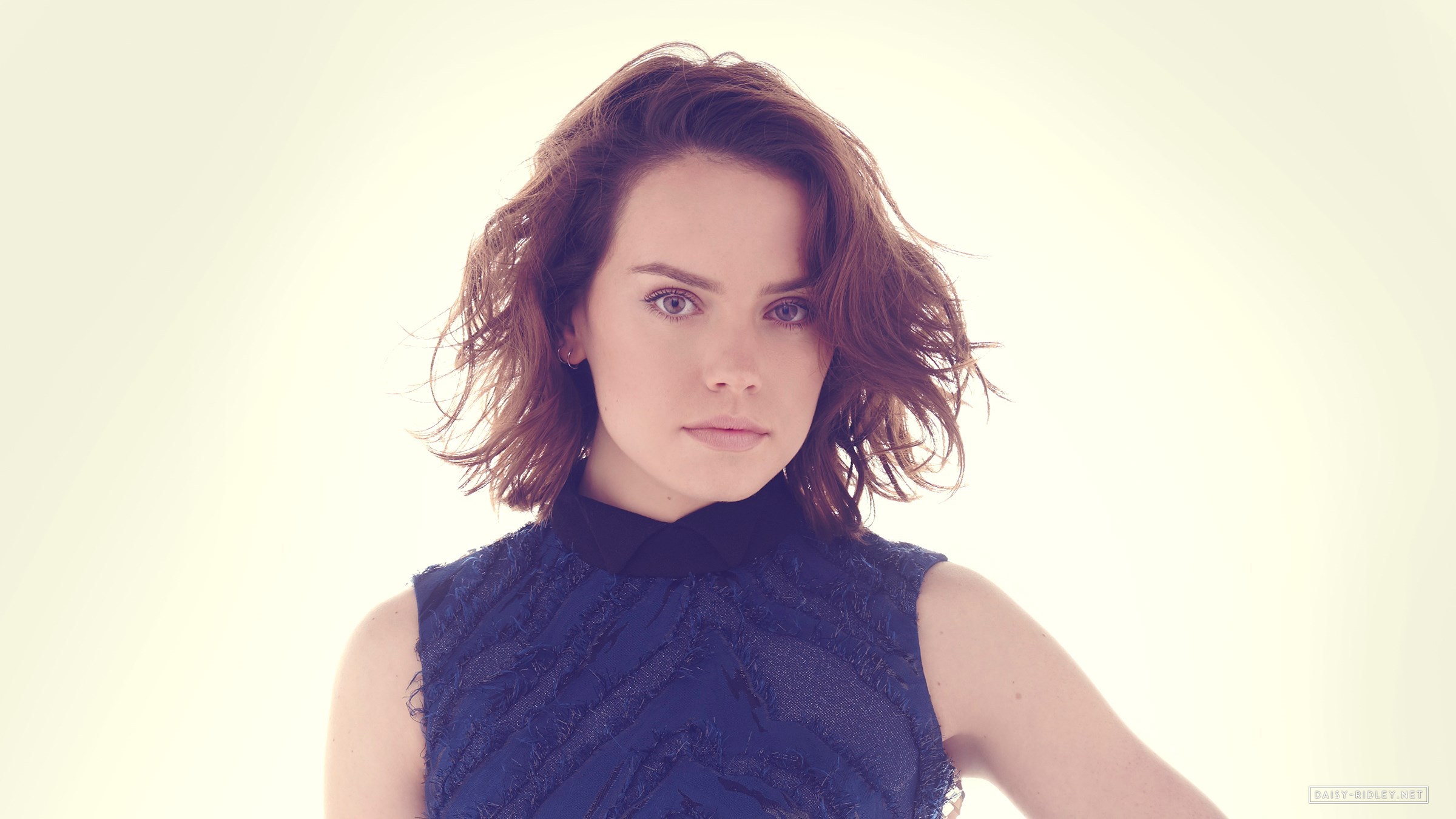 Daisy Ridley HD Wallpaper