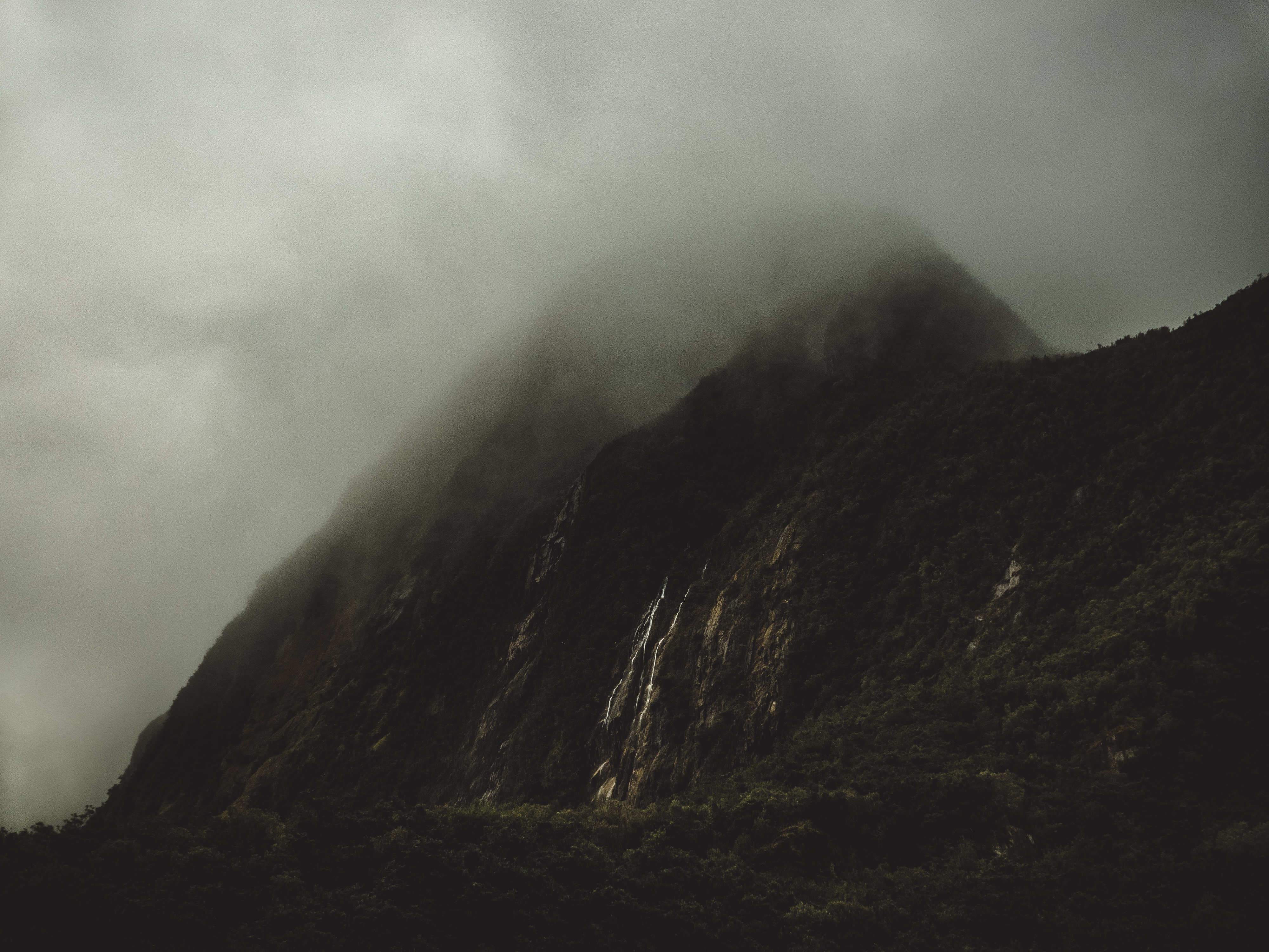 Misty mountain with waterfalls and trees HD Wallpaper