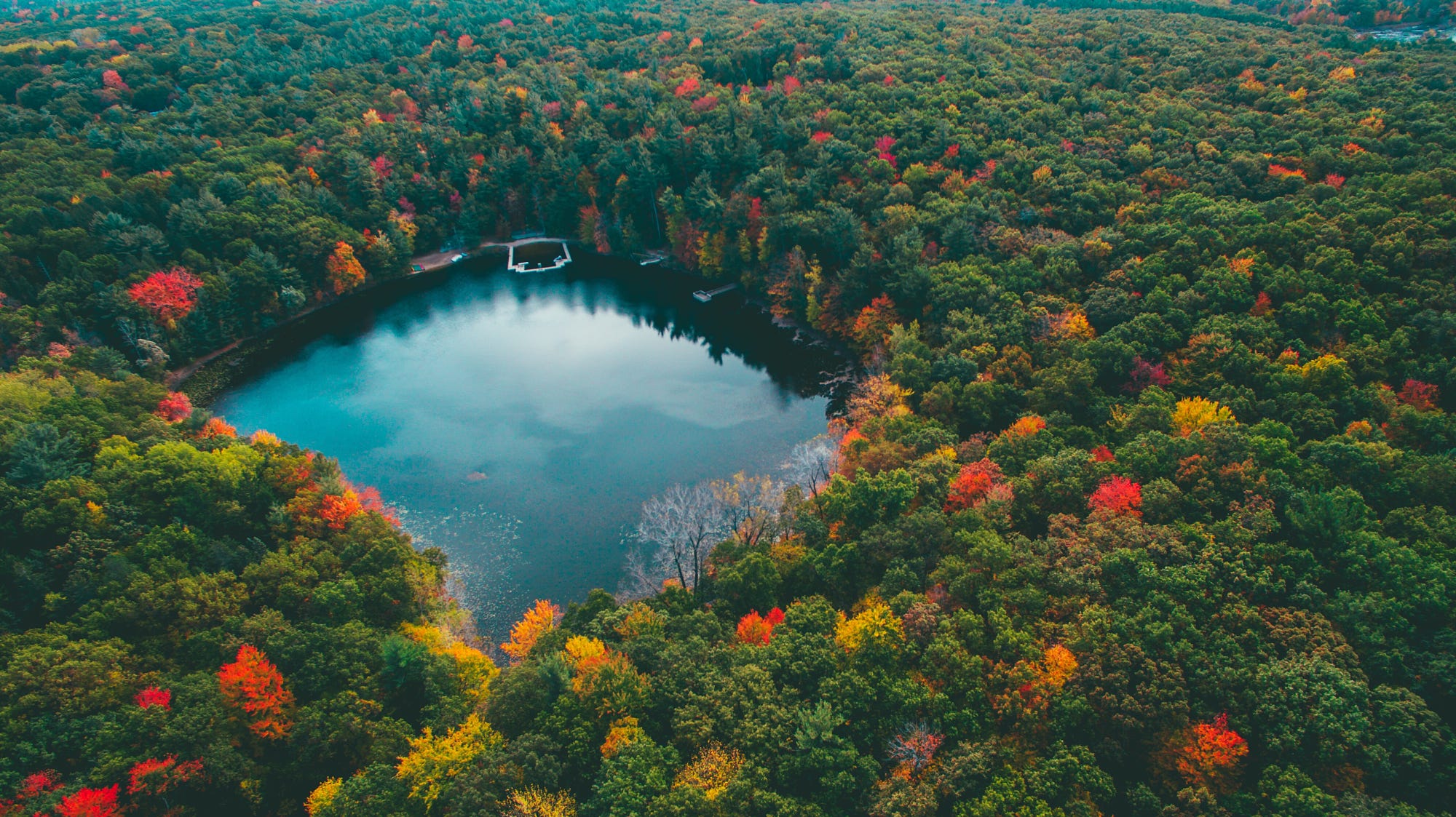 Aerial view of a lake surrounded by autumn forest HD Wallpaper
