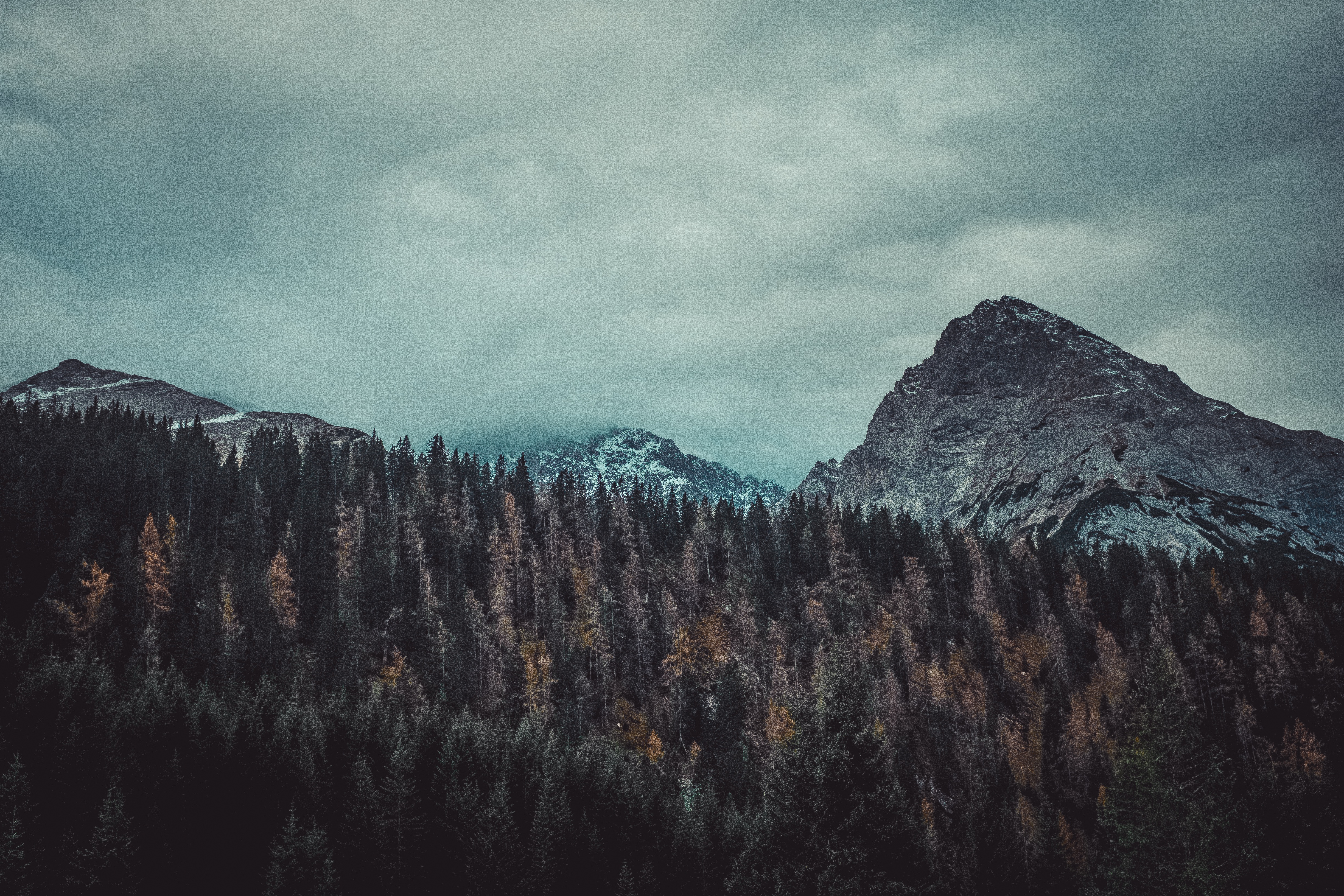 Dark mountain peaks above a dense forest HD Wallpaper