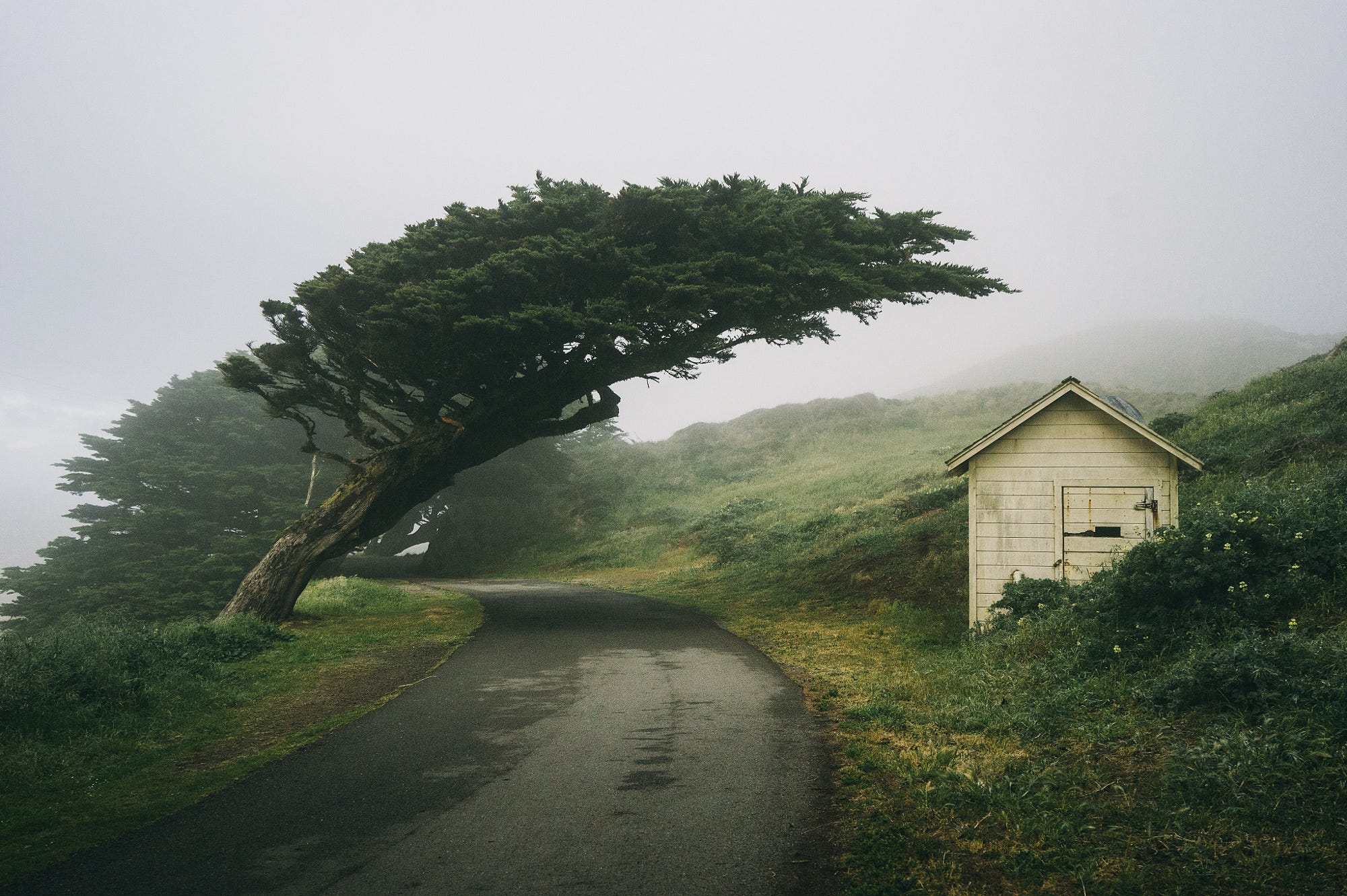 Winding road through misty landscape with cypress trees and small house HD Wallpaper