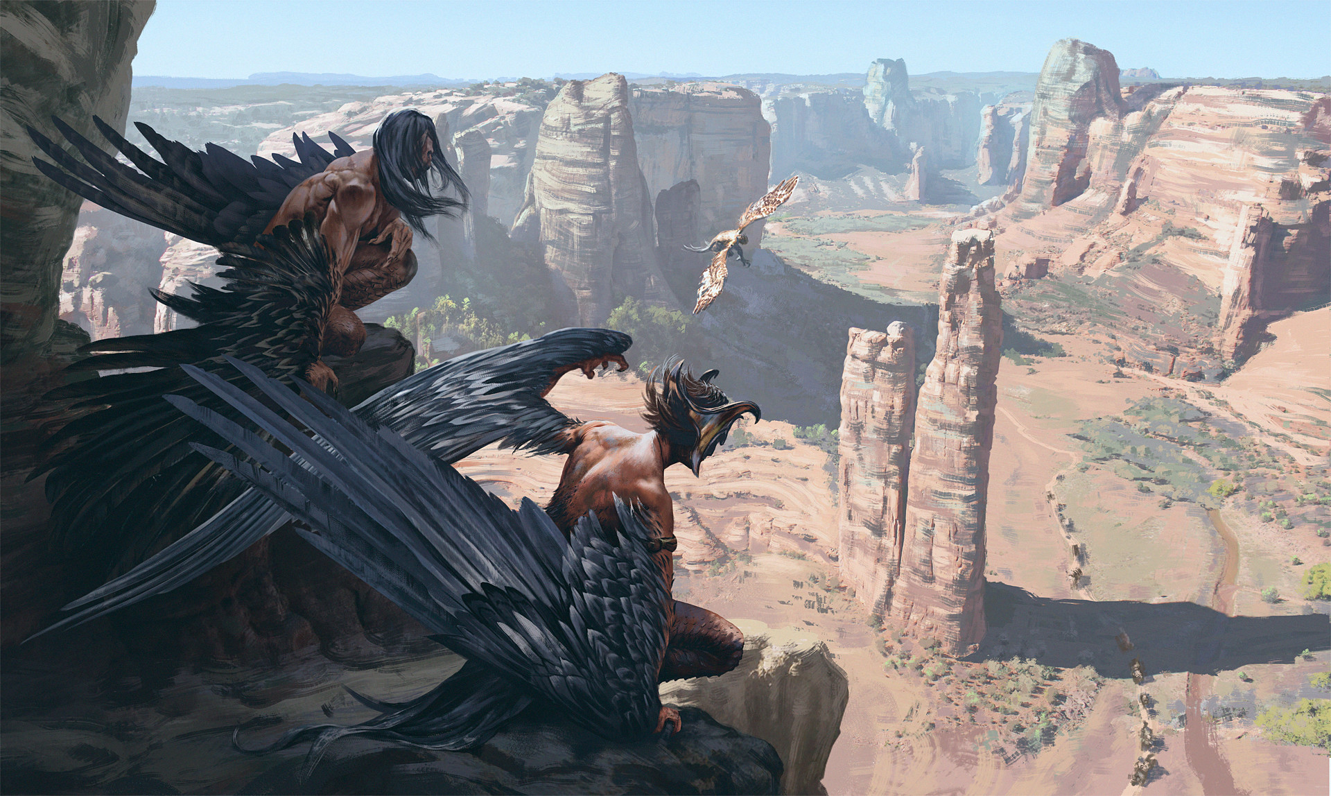 Two harpies watch a bird fly over a canyon HD Wallpaper