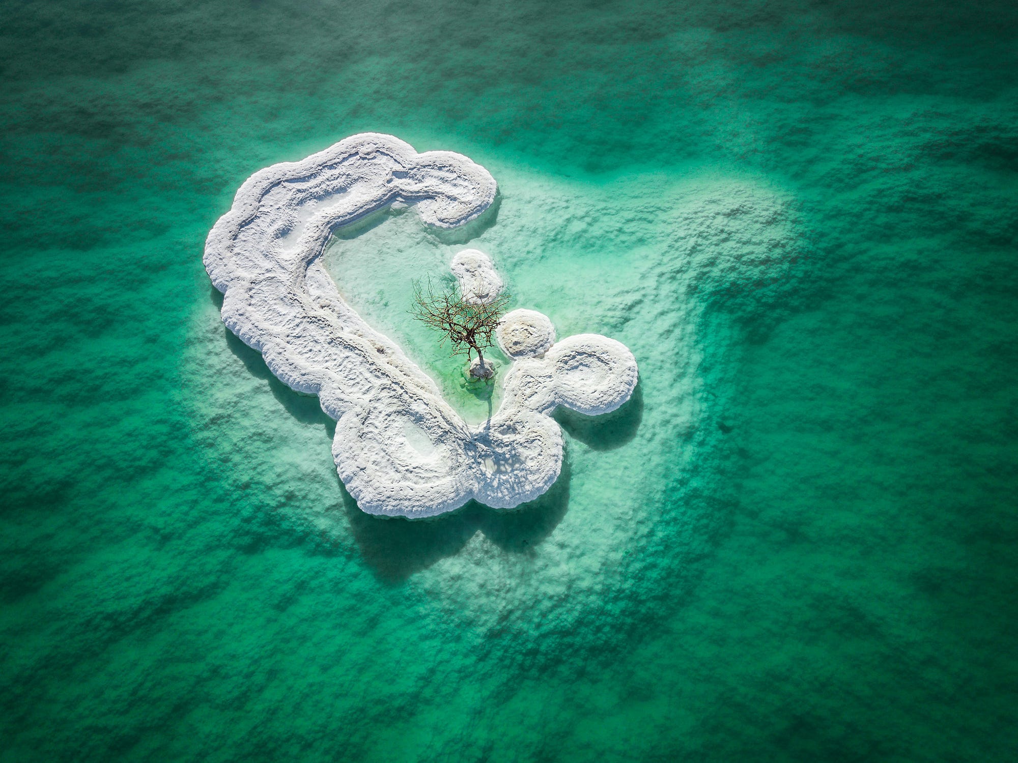 Aerial view of a salt island with a lone tree in the Dead Sea HD Wallpaper