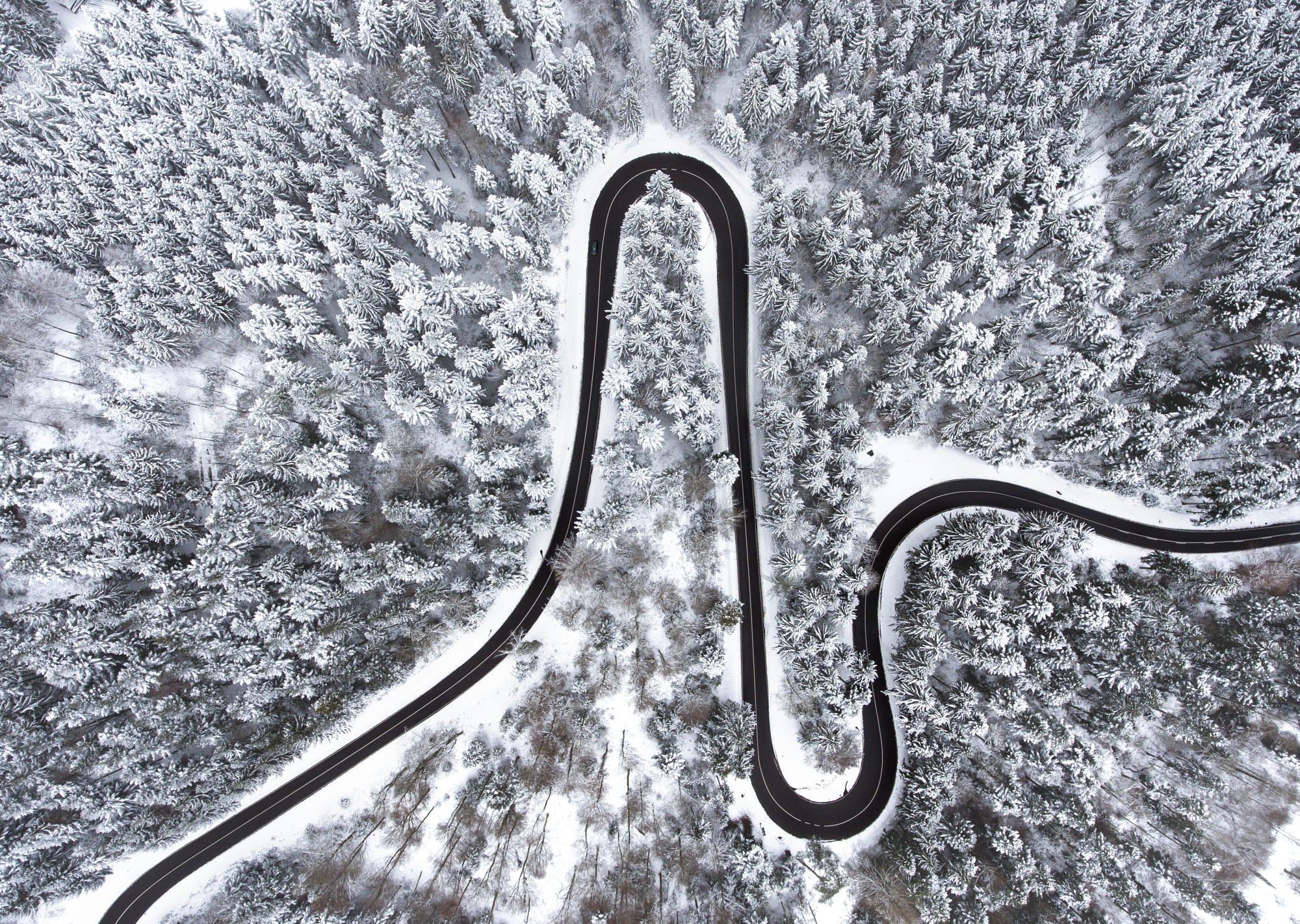 Aerial view of a winding road through a snow-covered forest HD Wallpaper