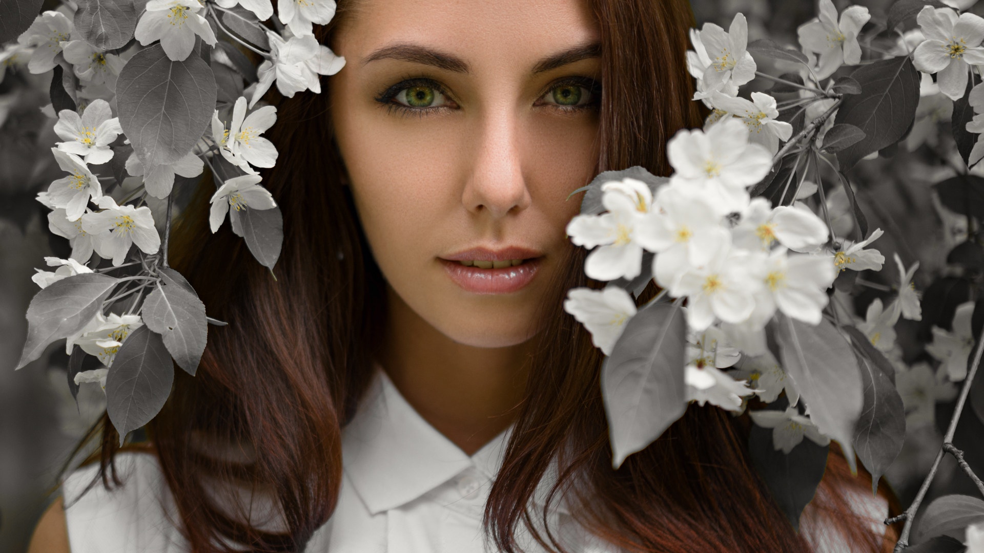 Portrait of a woman with green eyes surrounded by white flowers HD Wallpaper