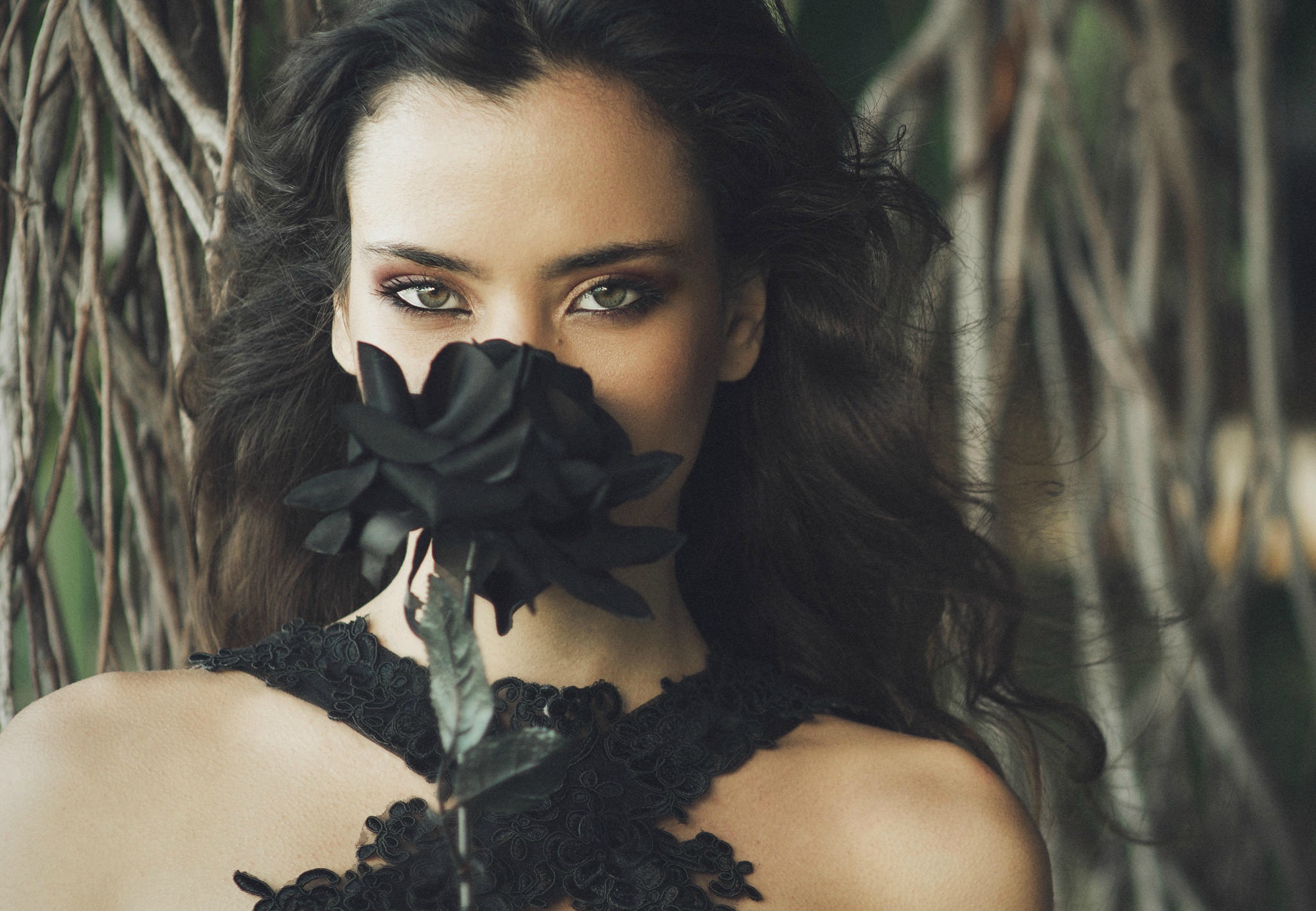 Woman holding a black rose HD Wallpaper