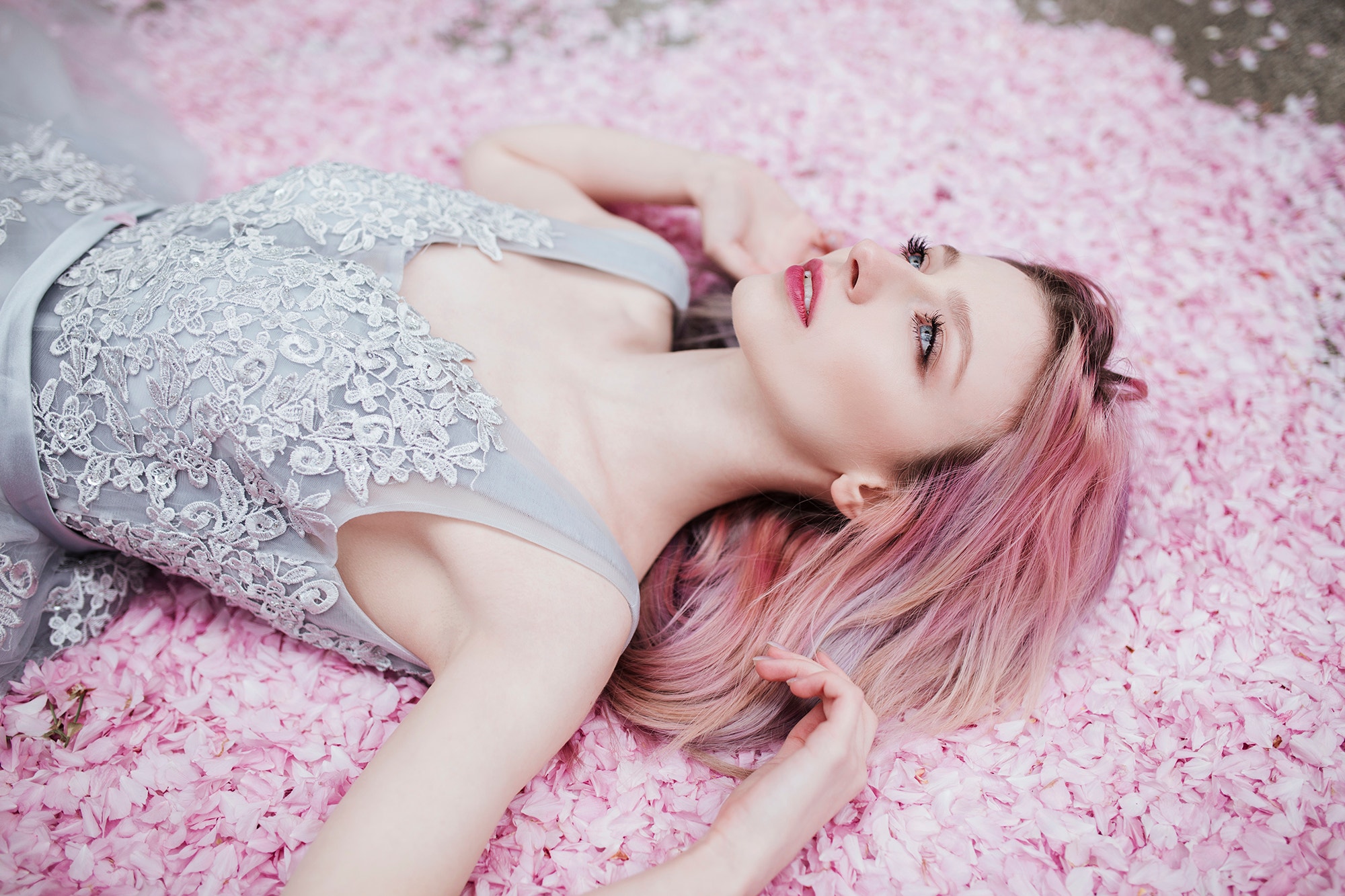 Woman with pink hair lying on pink petals HD Wallpaper