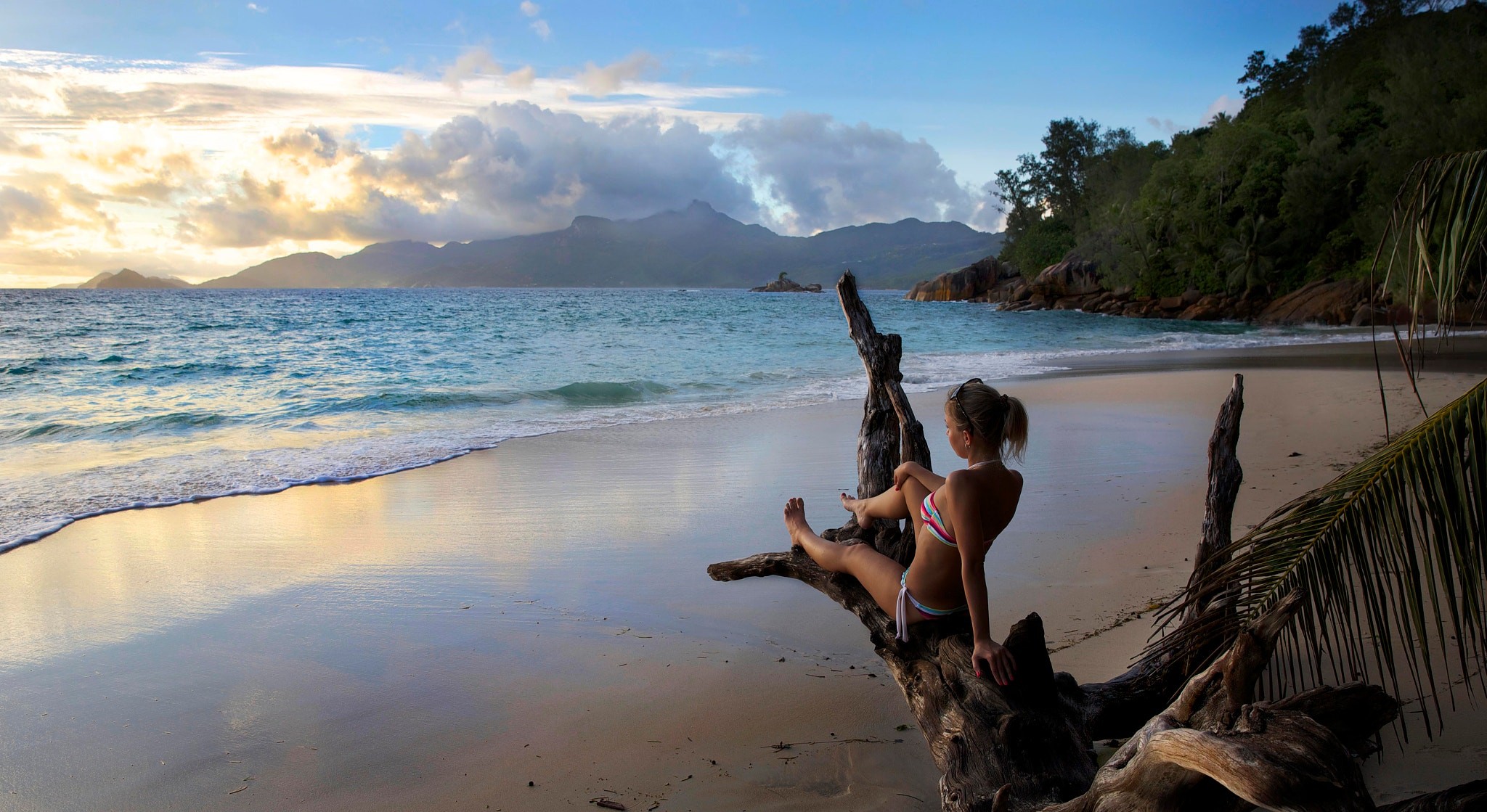Woman in bikini sitting on driftwood on a tropical beach HD Wallpaper