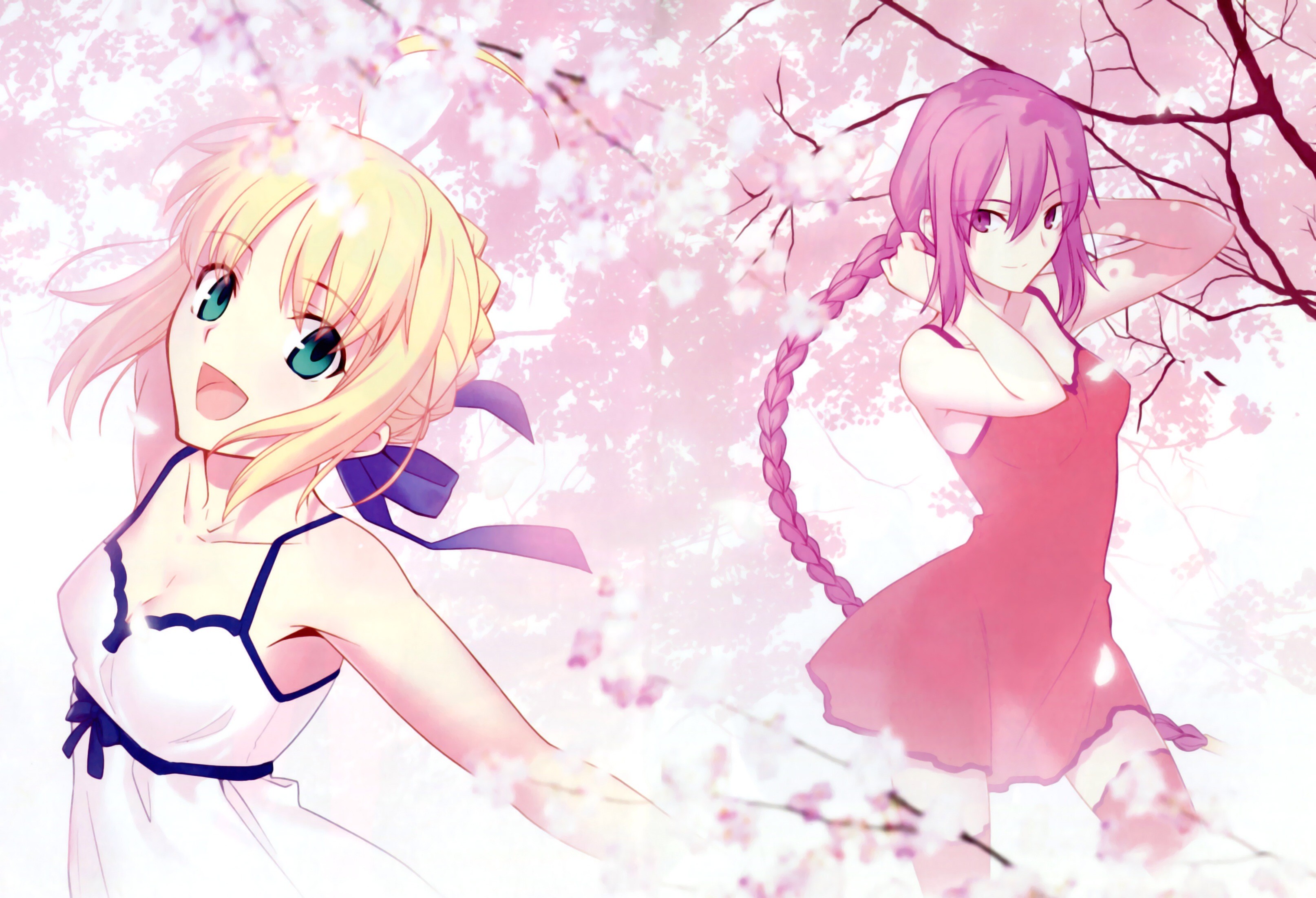 Saber and Sion Eltnam Atlasia from Fate Series HD Wallpaper