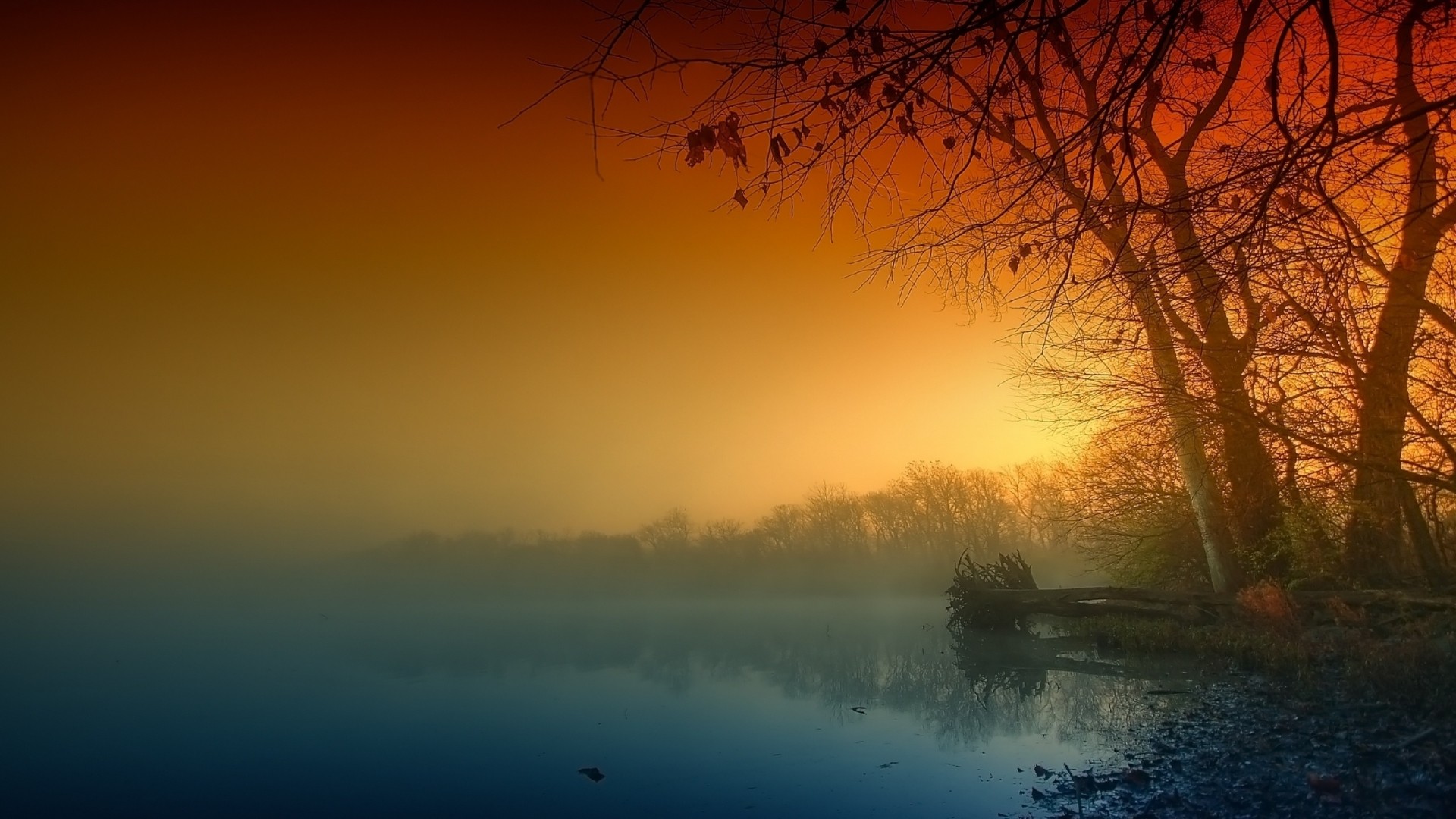 Misty lake at sunrise with silhouetted trees HD Wallpaper