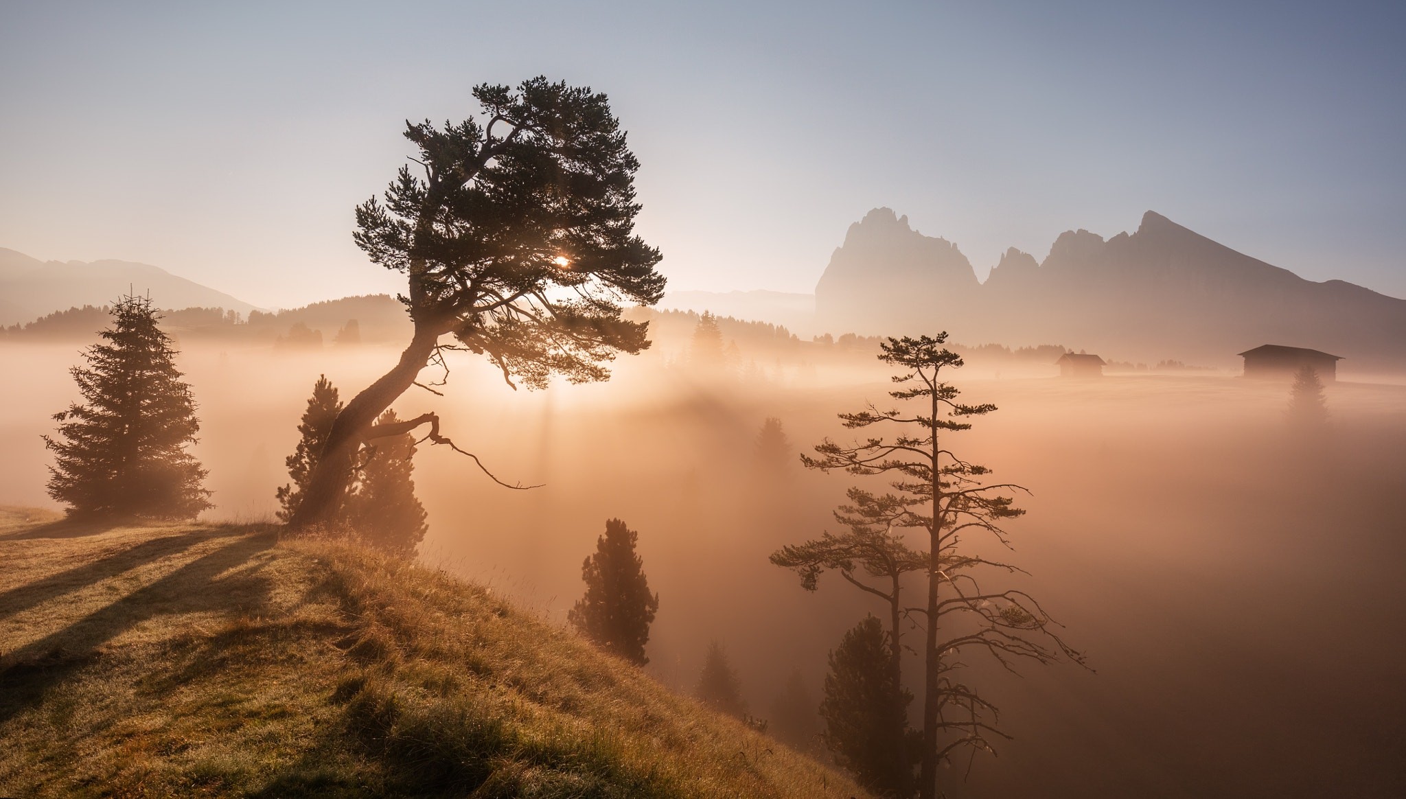 Misty mountain landscape with trees and cabins HD Wallpaper