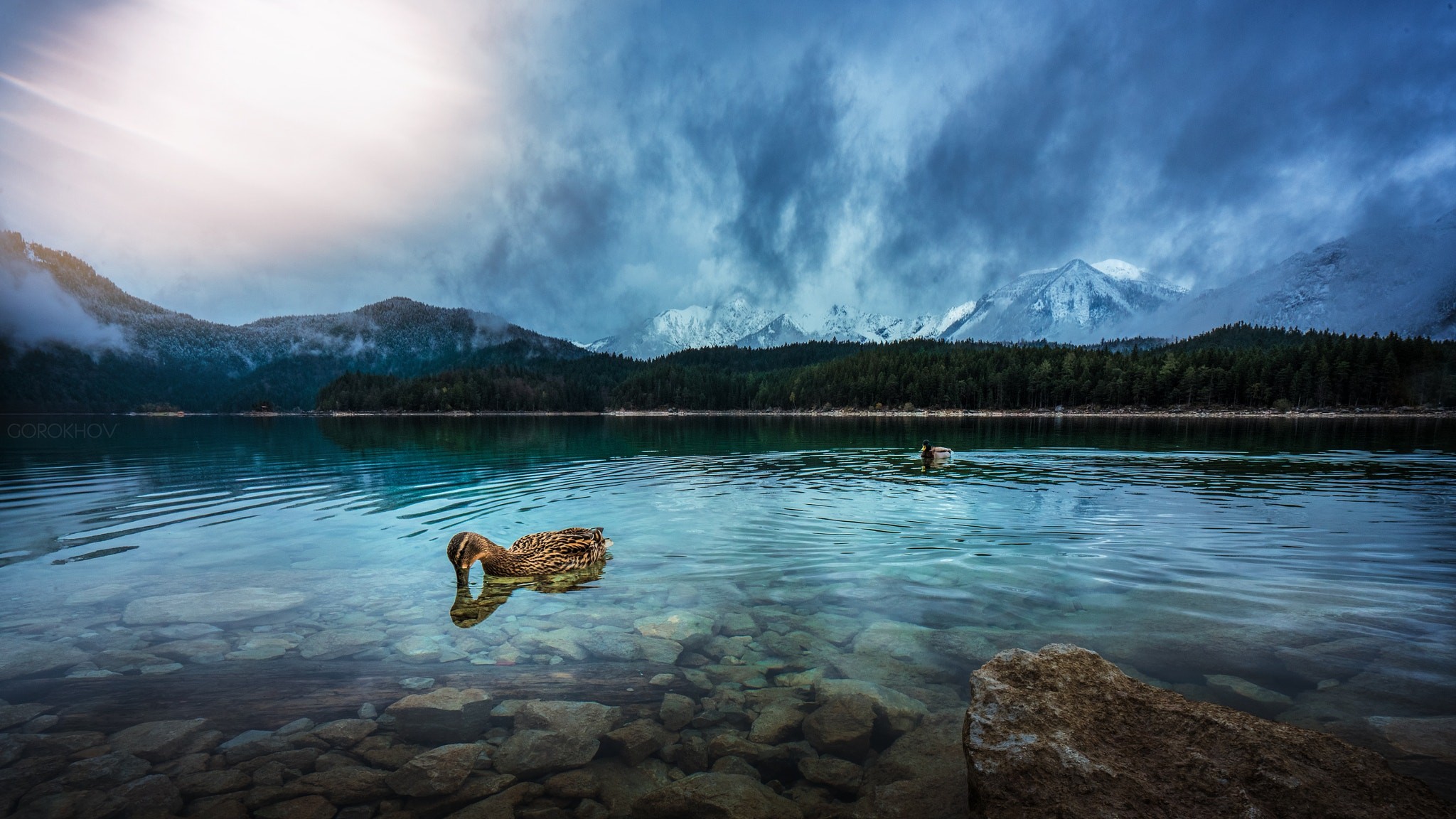 Ducks swimming in a lake with mountains and clouds HD Wallpaper
