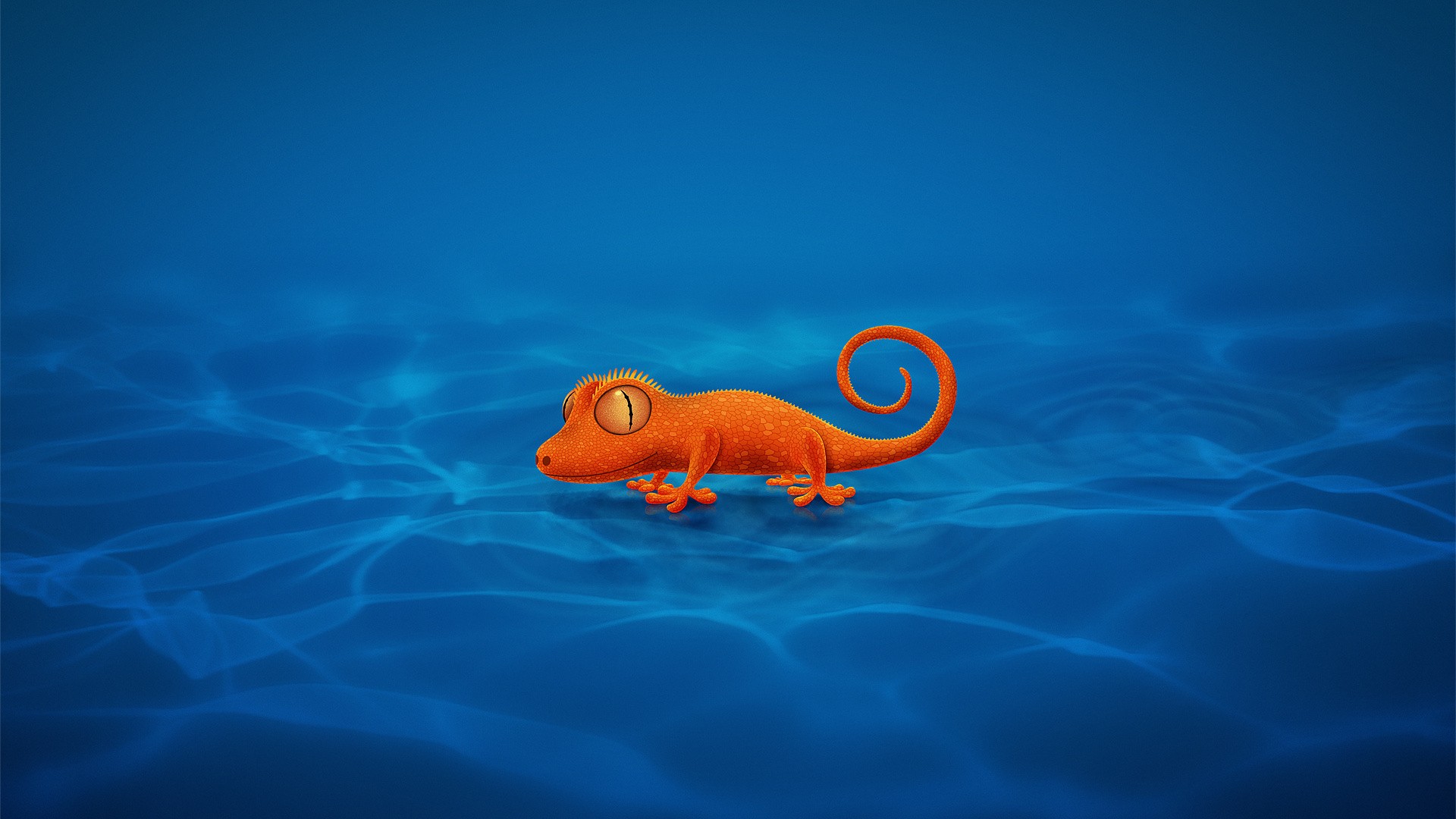Orange gecko on a blue water background HD Wallpaper