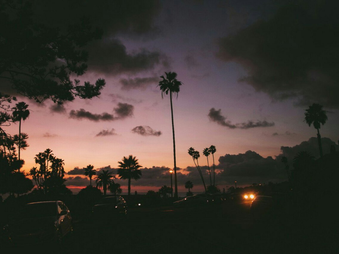 Palm trees at sunset with cars HD Wallpaper