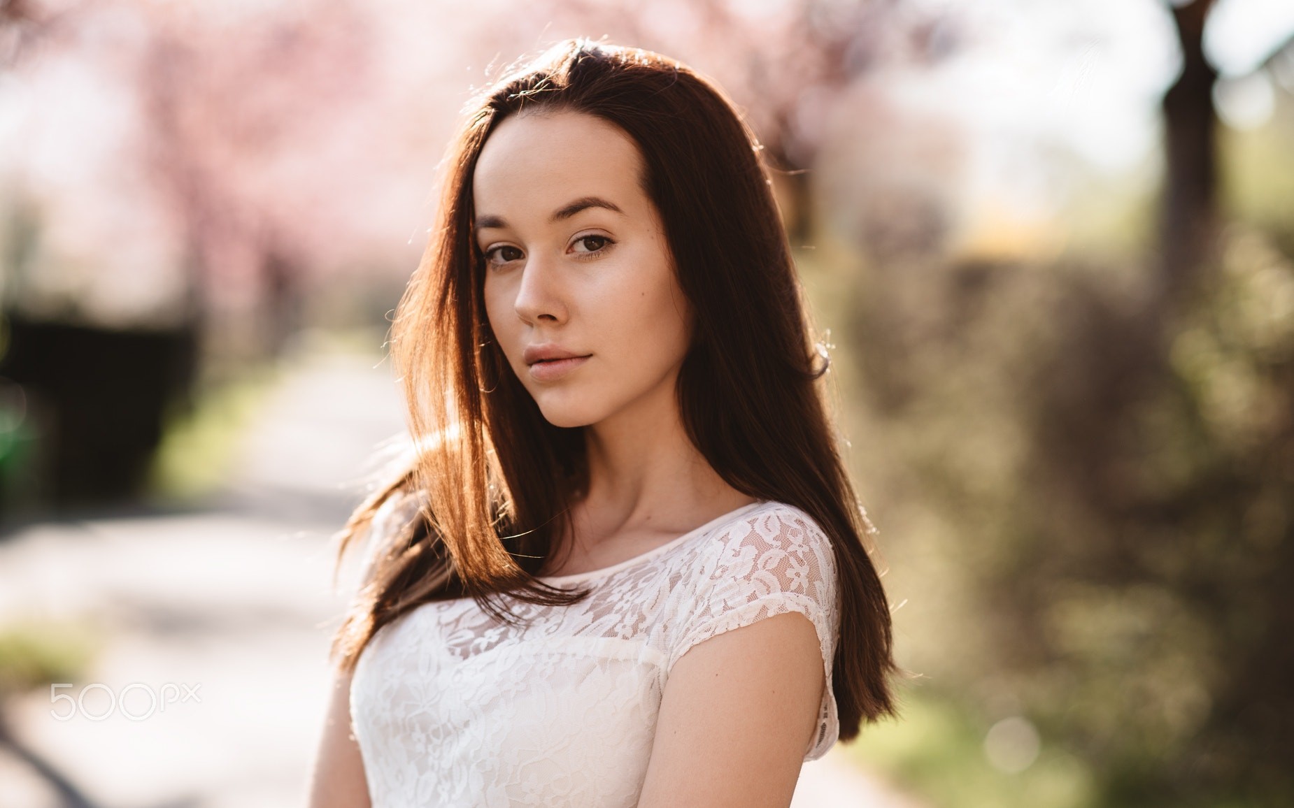 Woman in white lace dress with cherry blossoms HD Wallpaper
