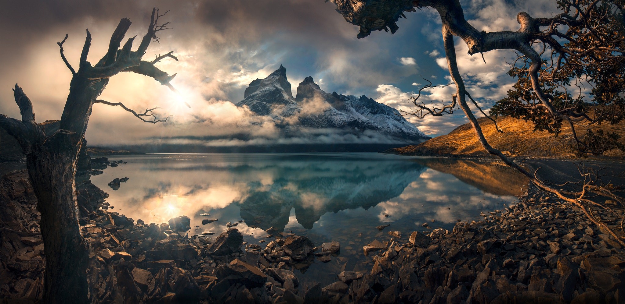 Torres del Paine mountains reflected in a lake with foreground trees HD Wallpaper