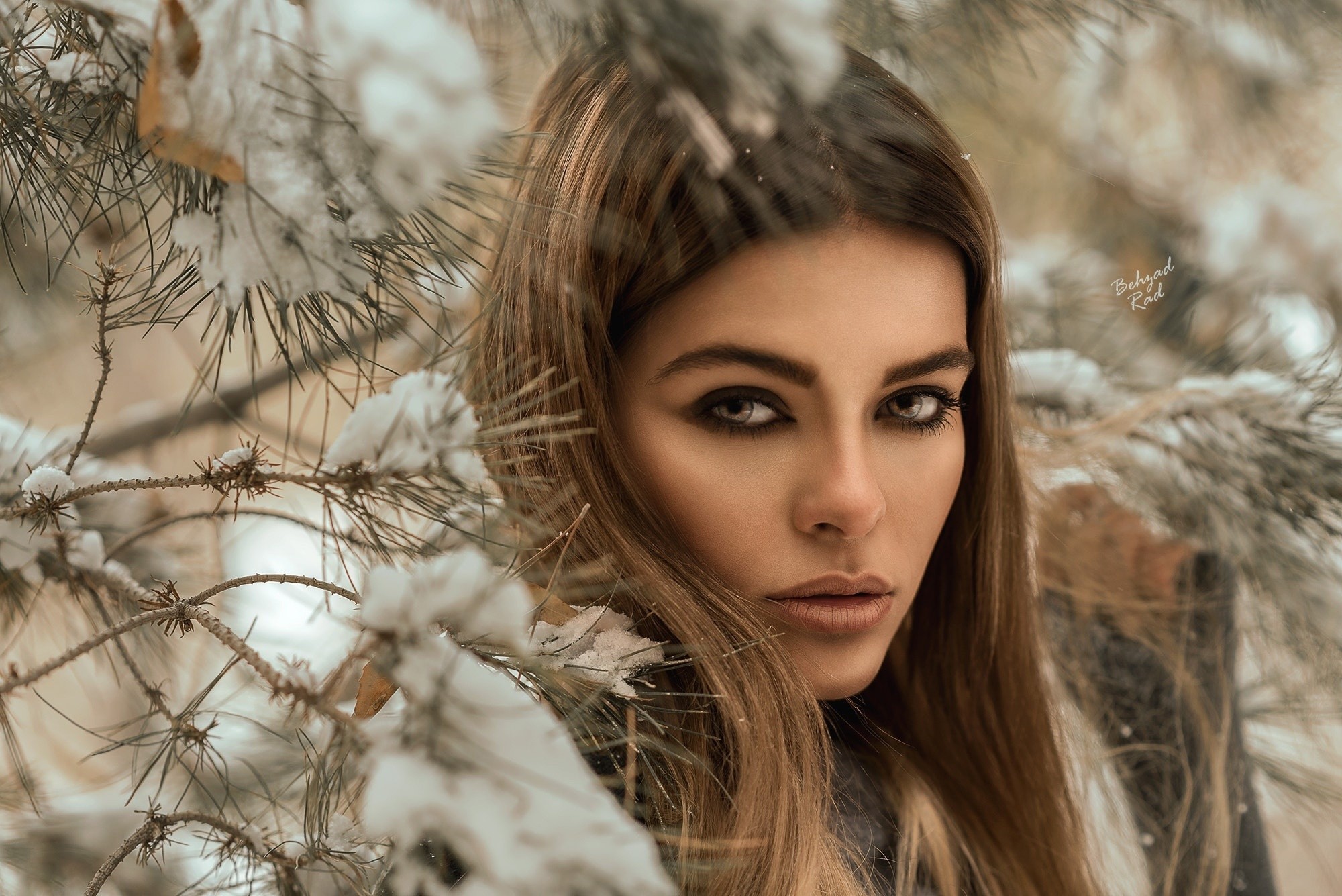Woman with makeup in snowy pine branches HD Wallpaper