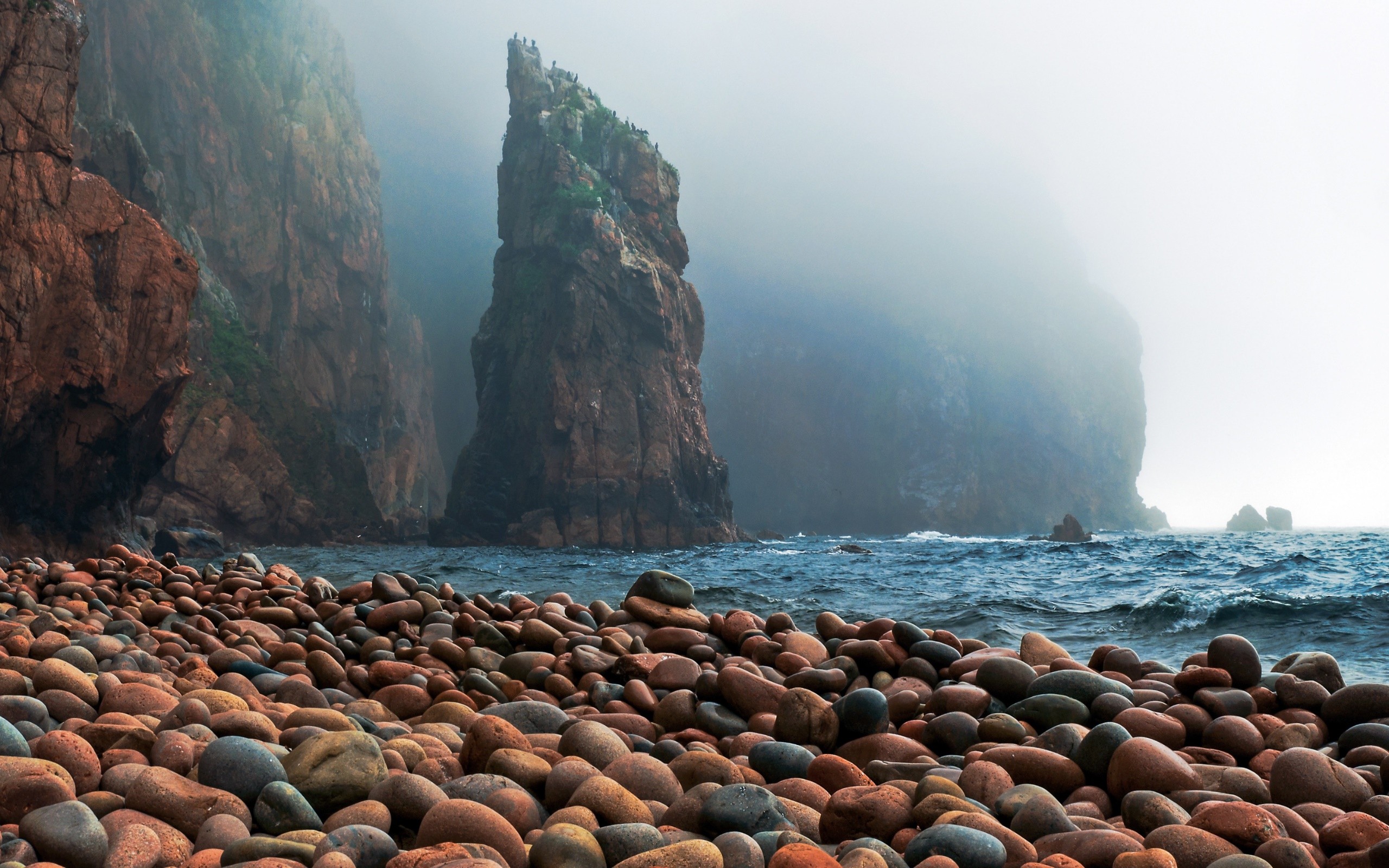 Rocky coast with sea stacks in fog HD Wallpaper