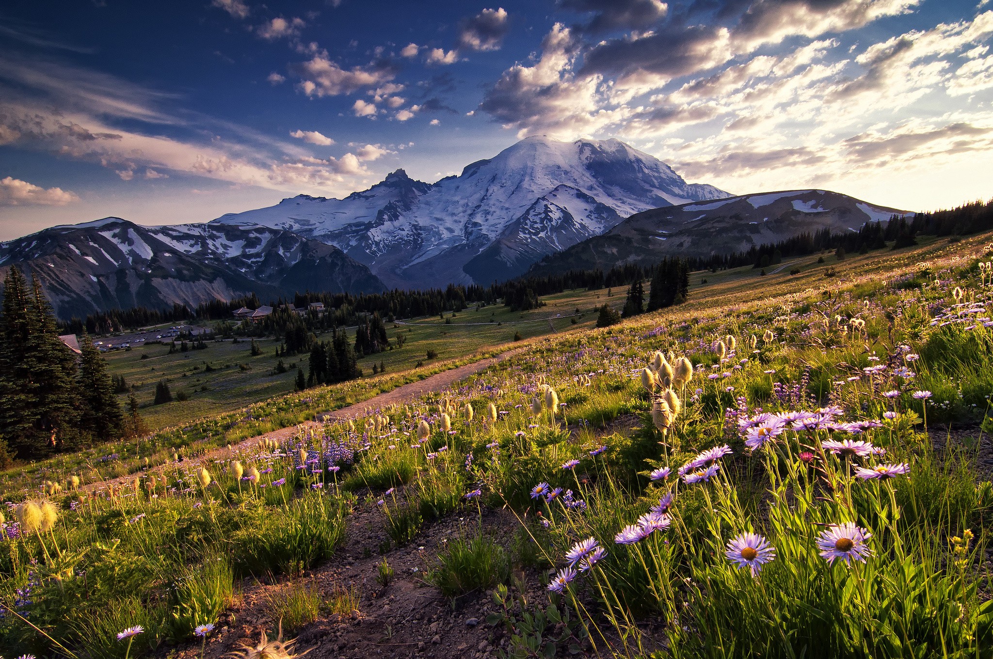 Mountain landscape with wildflowers and clouds HD Wallpaper