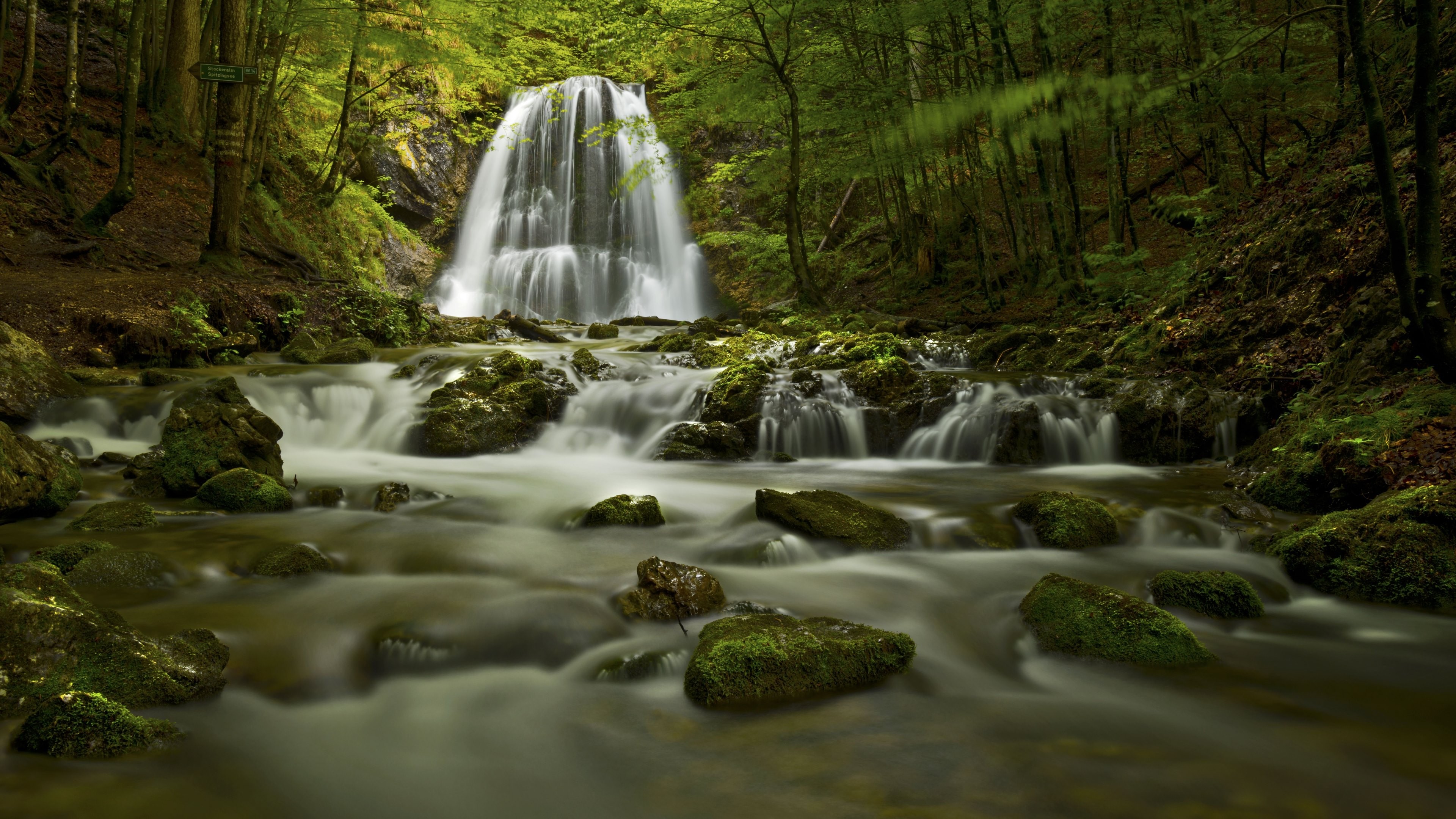Waterfall in a lush green forest with mossy rocks HD Wallpaper