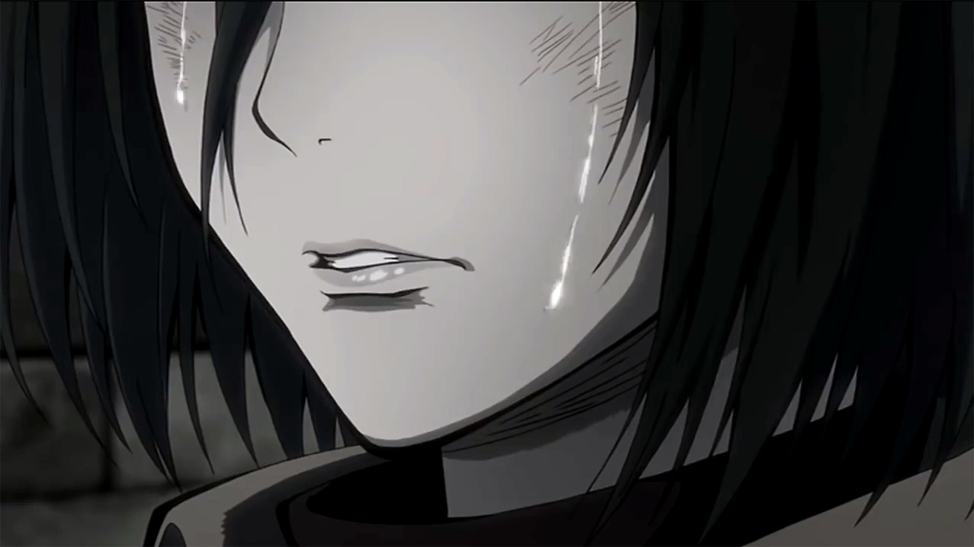 Mikasa Ackerman from Shingeki no Kyojin HD Wallpaper