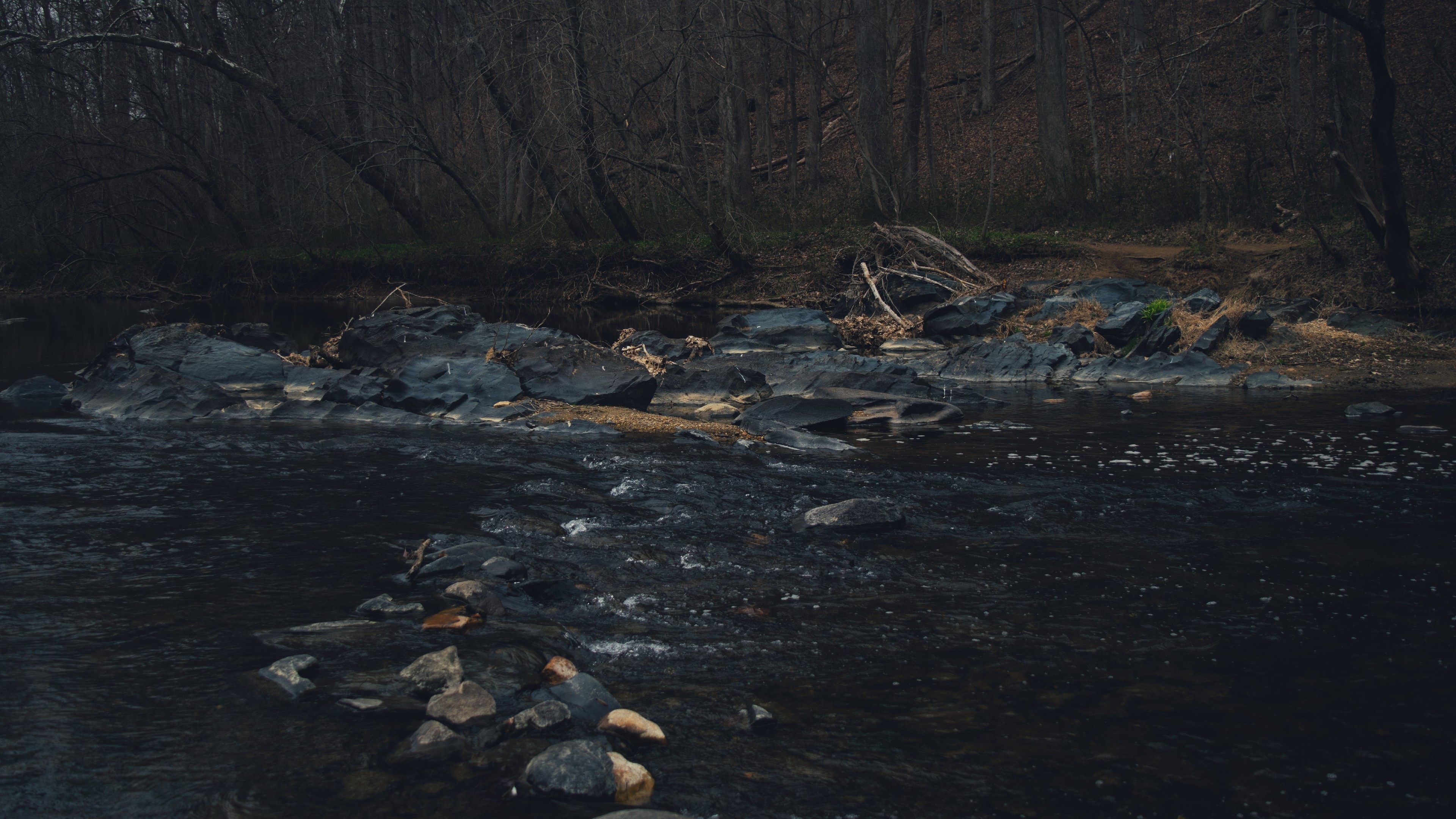 Dark stream flowing over rocks with bare trees in background HD Wallpaper