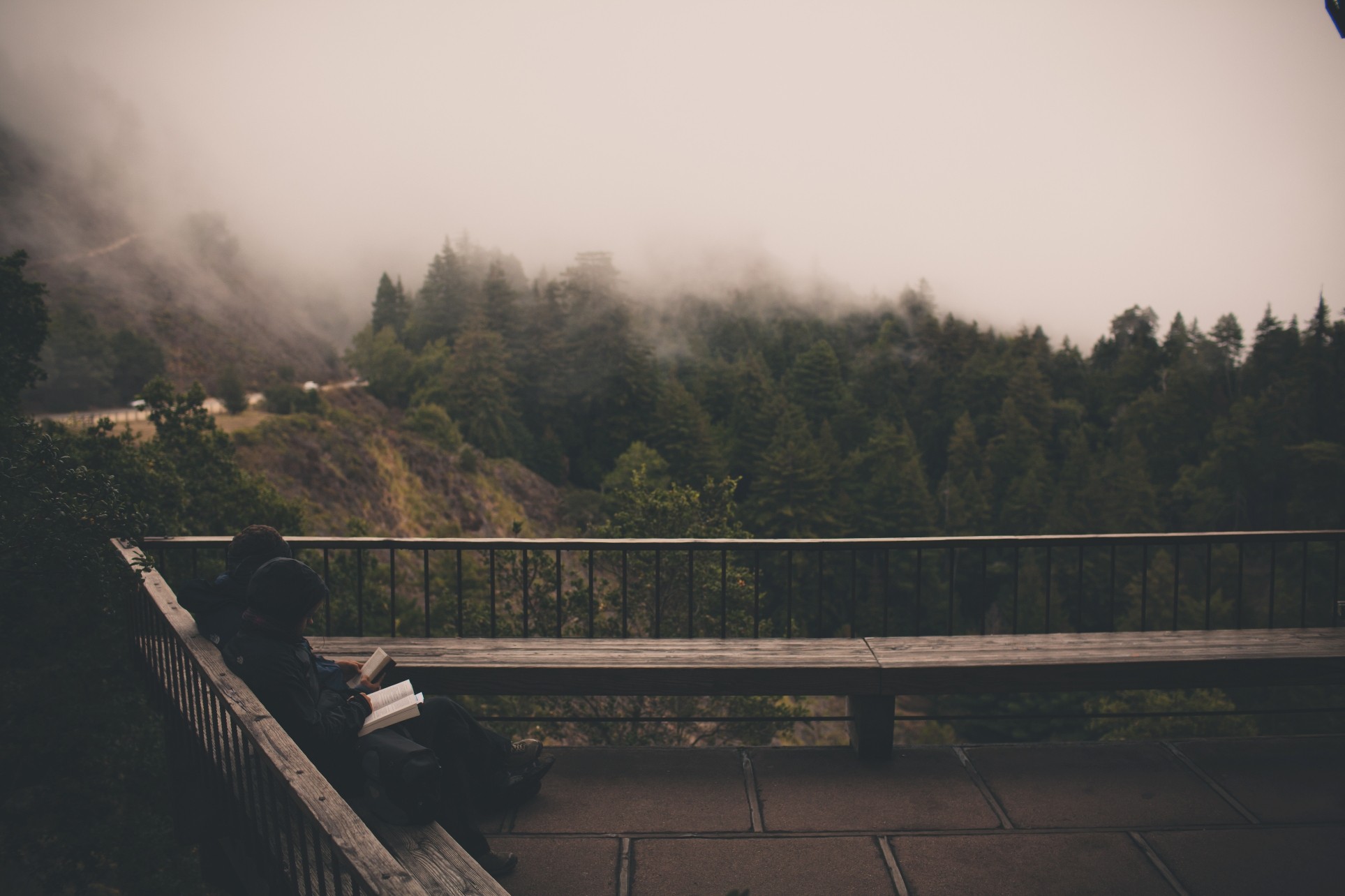 Two people reading on a bench overlooking a misty forest HD Wallpaper