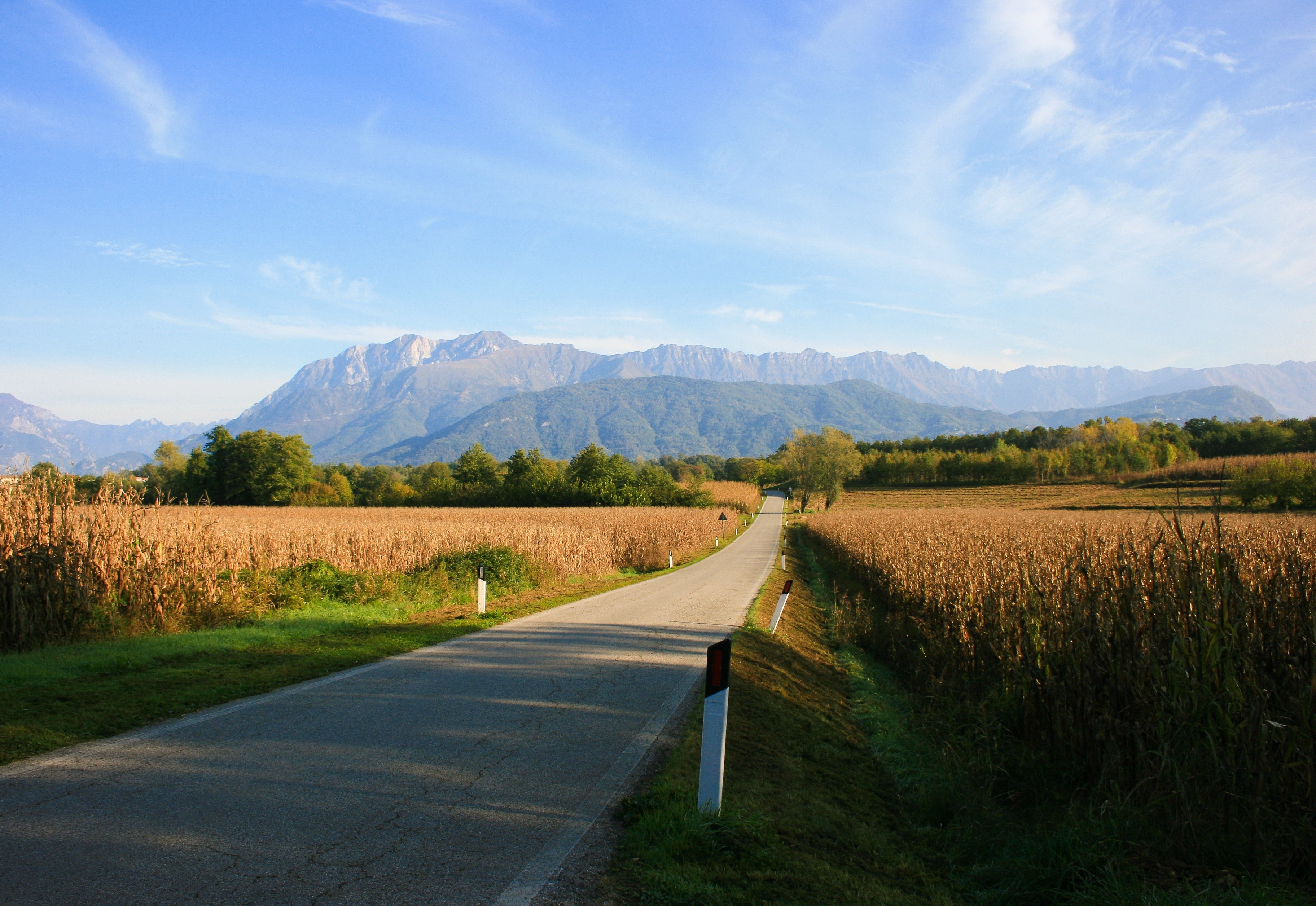 Road through cornfields towards mountains under a blue sky HD Wallpaper