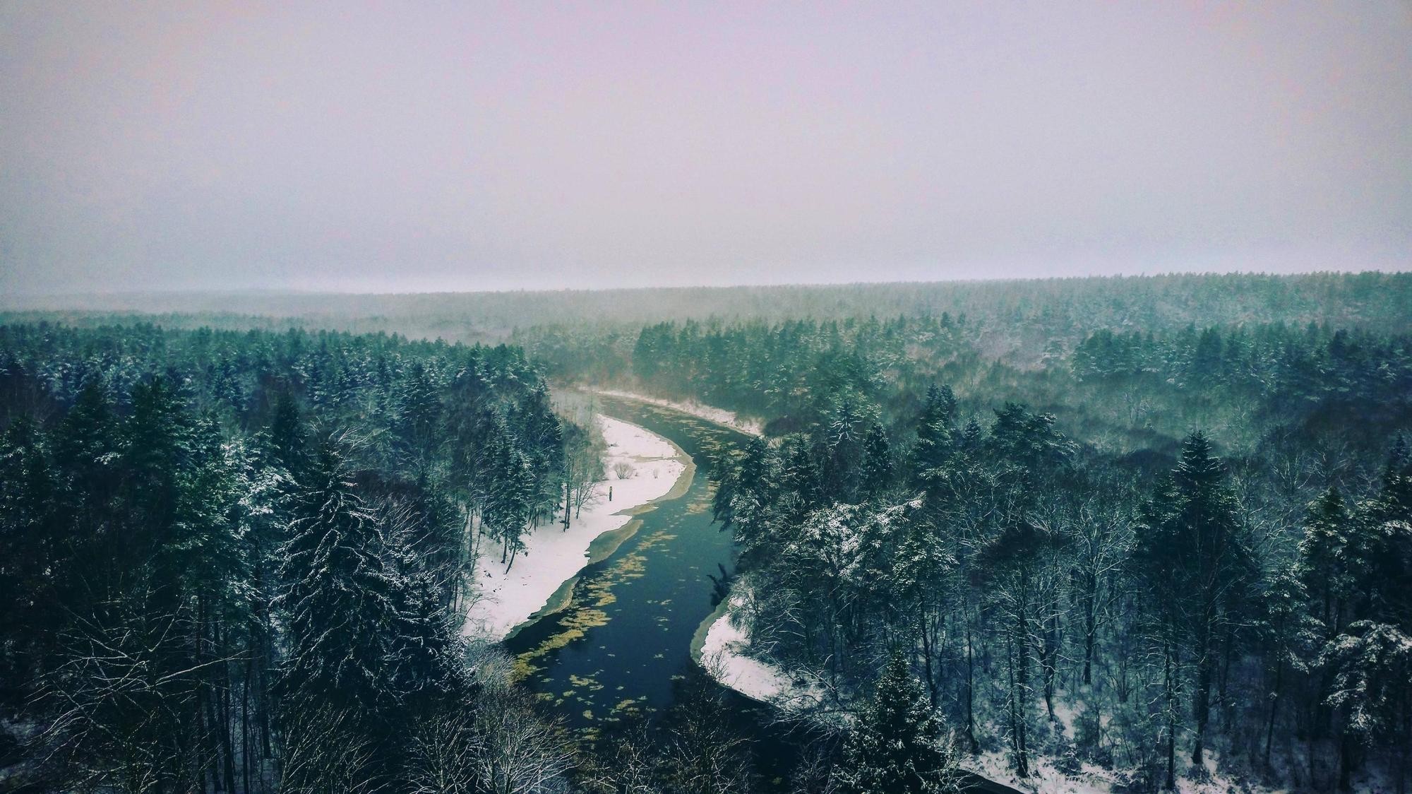 Winter forest with a winding river HD Wallpaper