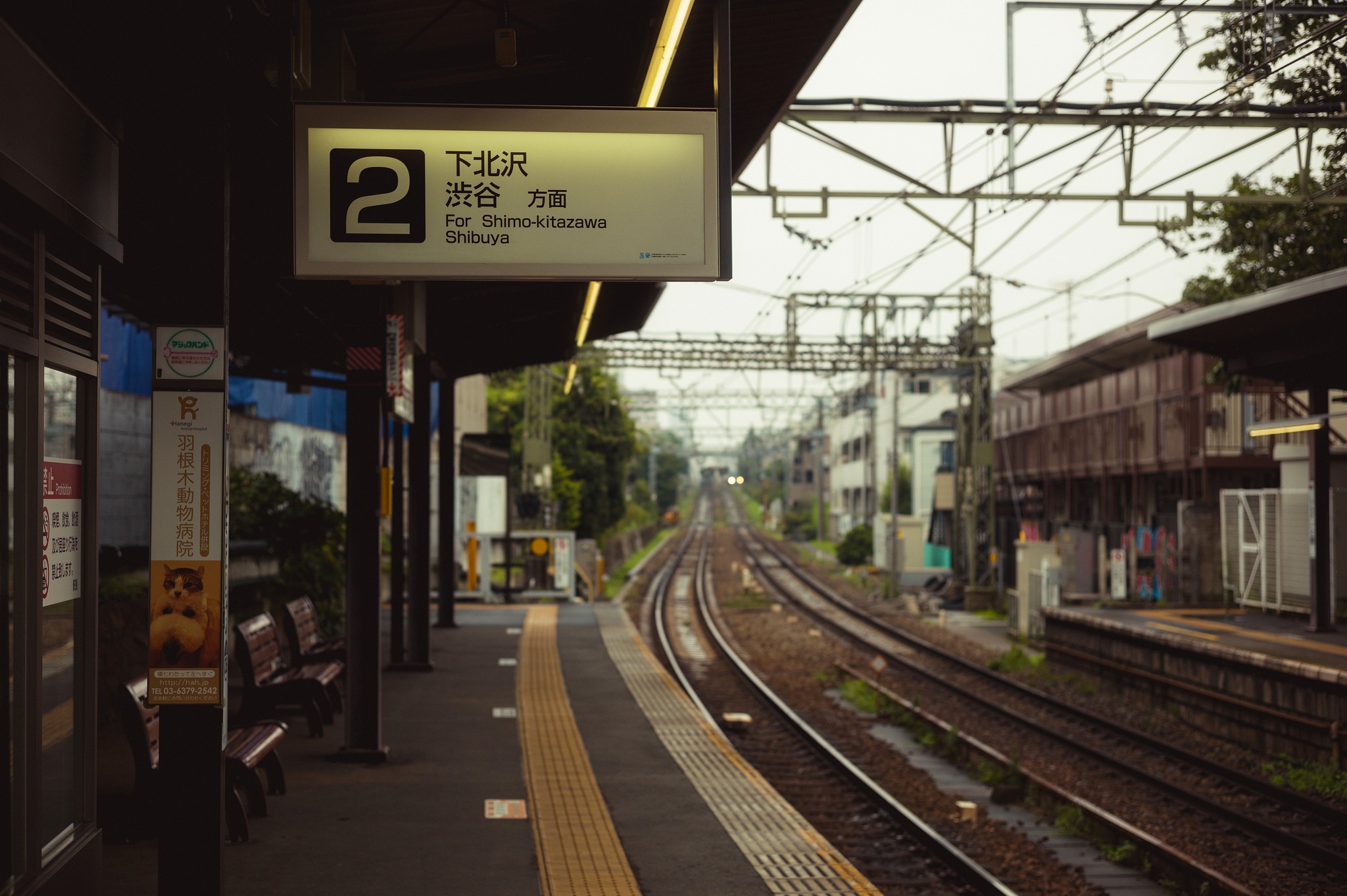 Train station platform sign for Shimo-kitazawa and Shibuya HD Wallpaper