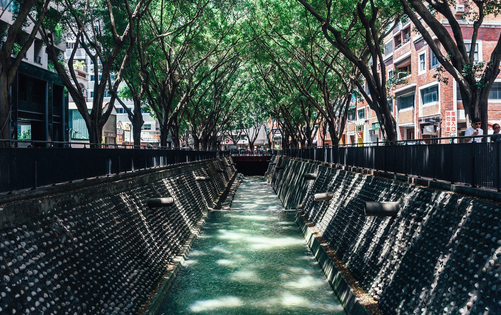 Canal lined with trees and buildings HD Wallpaper