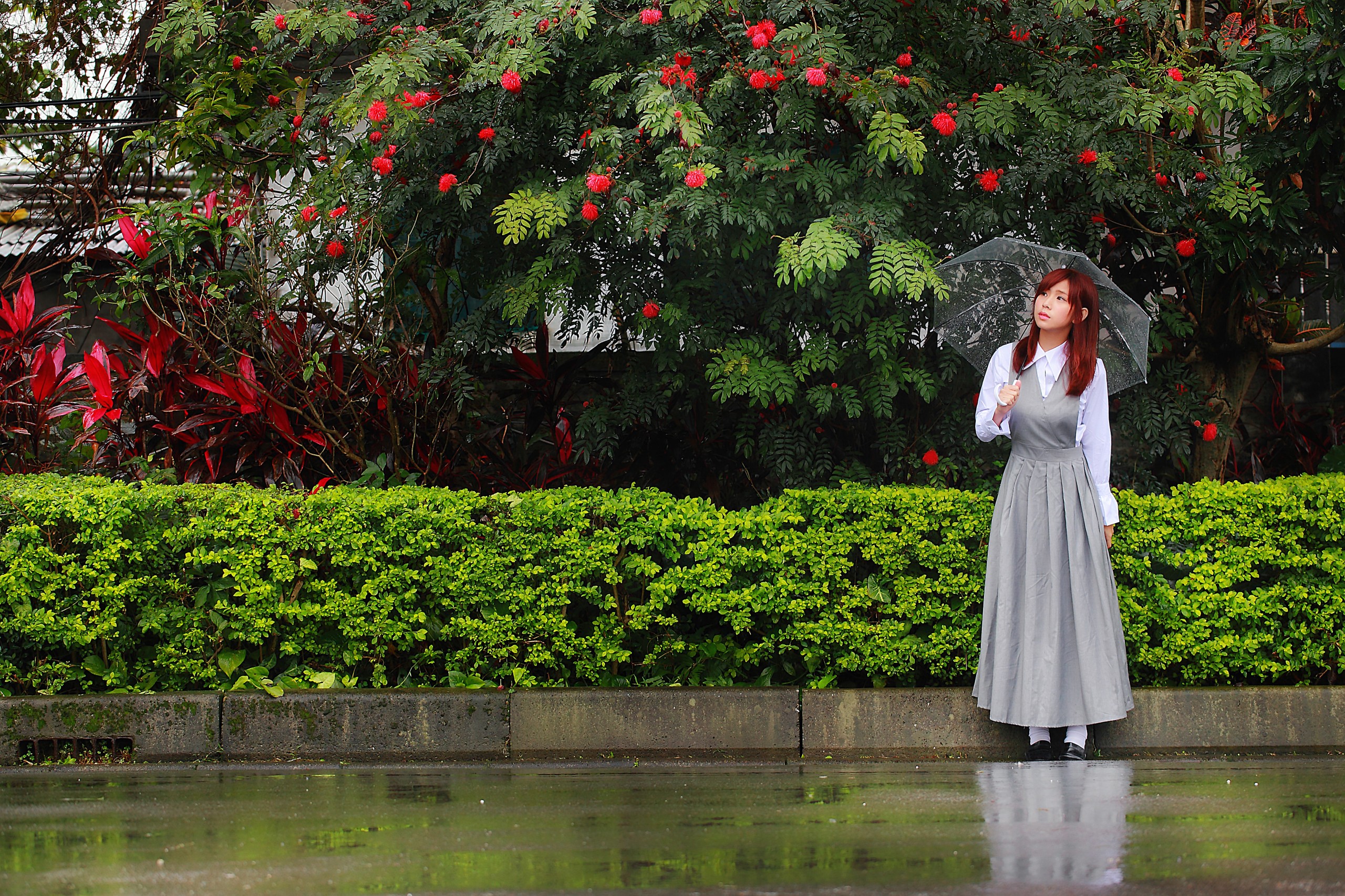Woman with umbrella standing by a tree HD Wallpaper